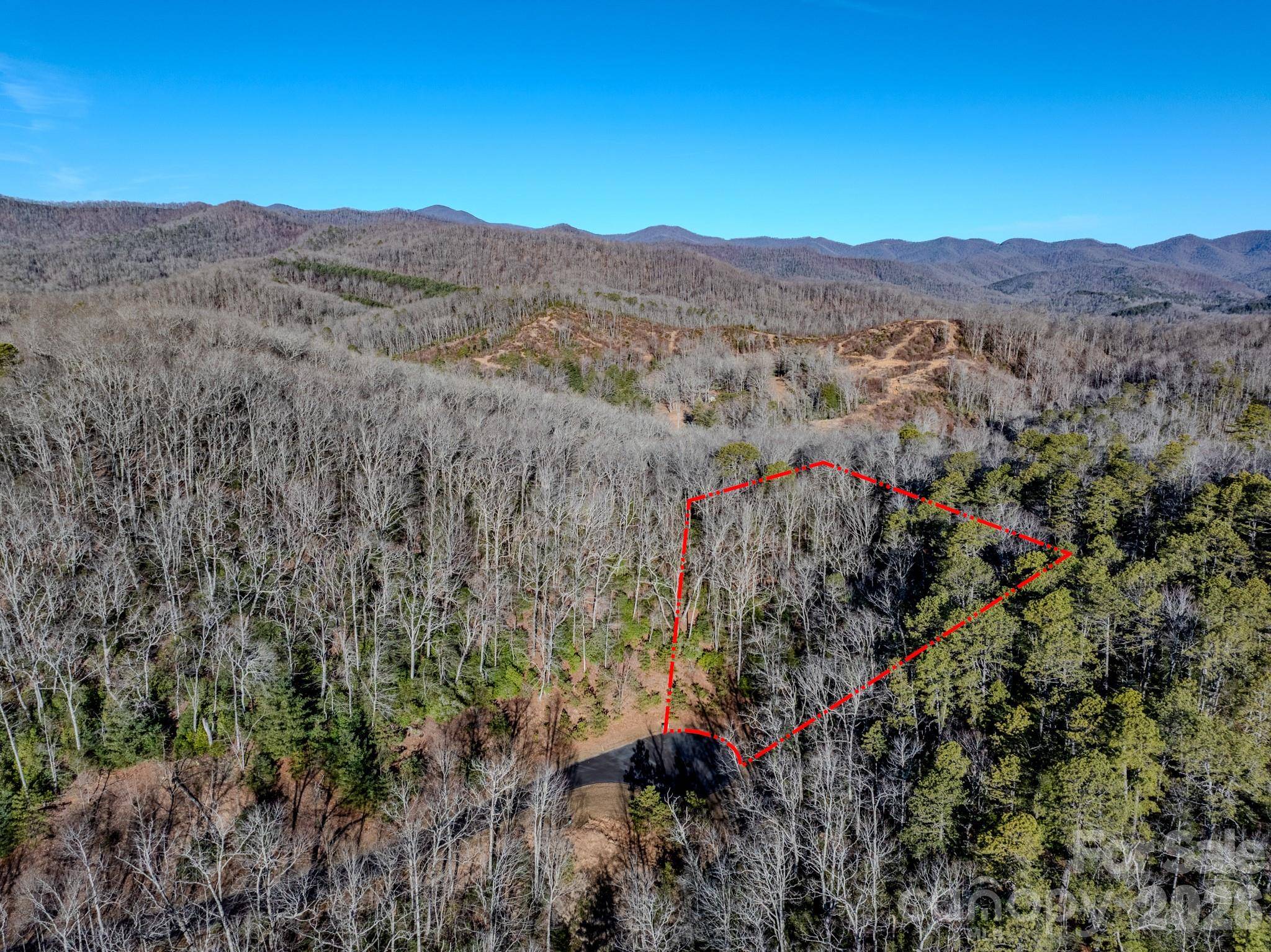 1647 Mills River WAY, Horse Shoe, NC 28742