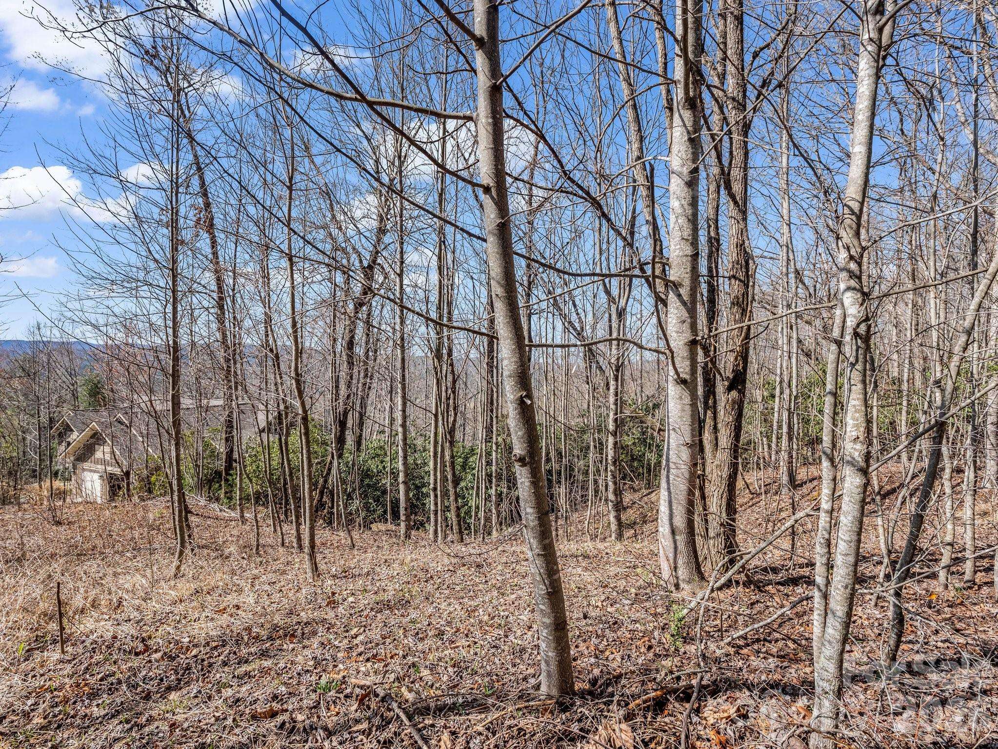 142 Mountain Elder LN #79, Hendersonville, NC 28739
