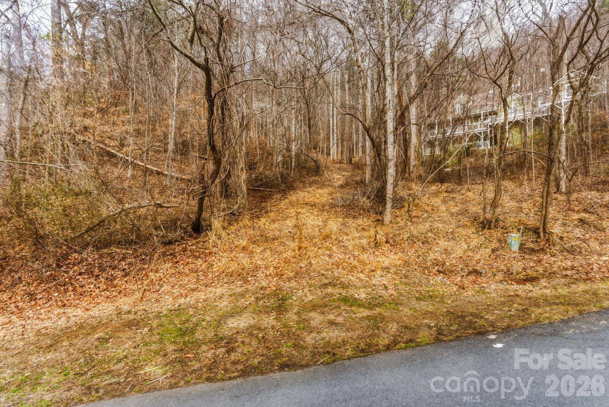 99999 Hawk View DR #7, Asheville, NC 28804