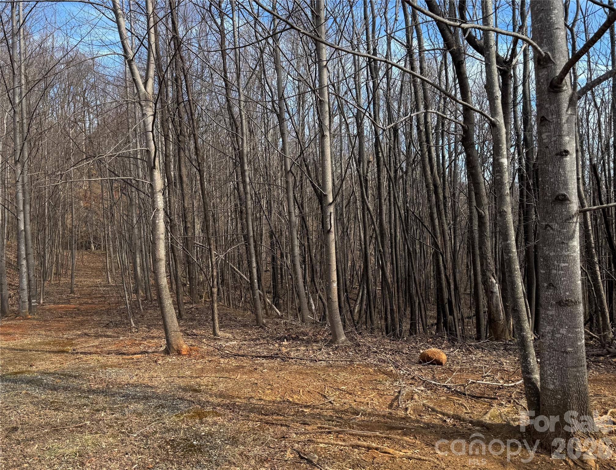 99999 Chesterfield DR #179, Mill Spring, NC 28756