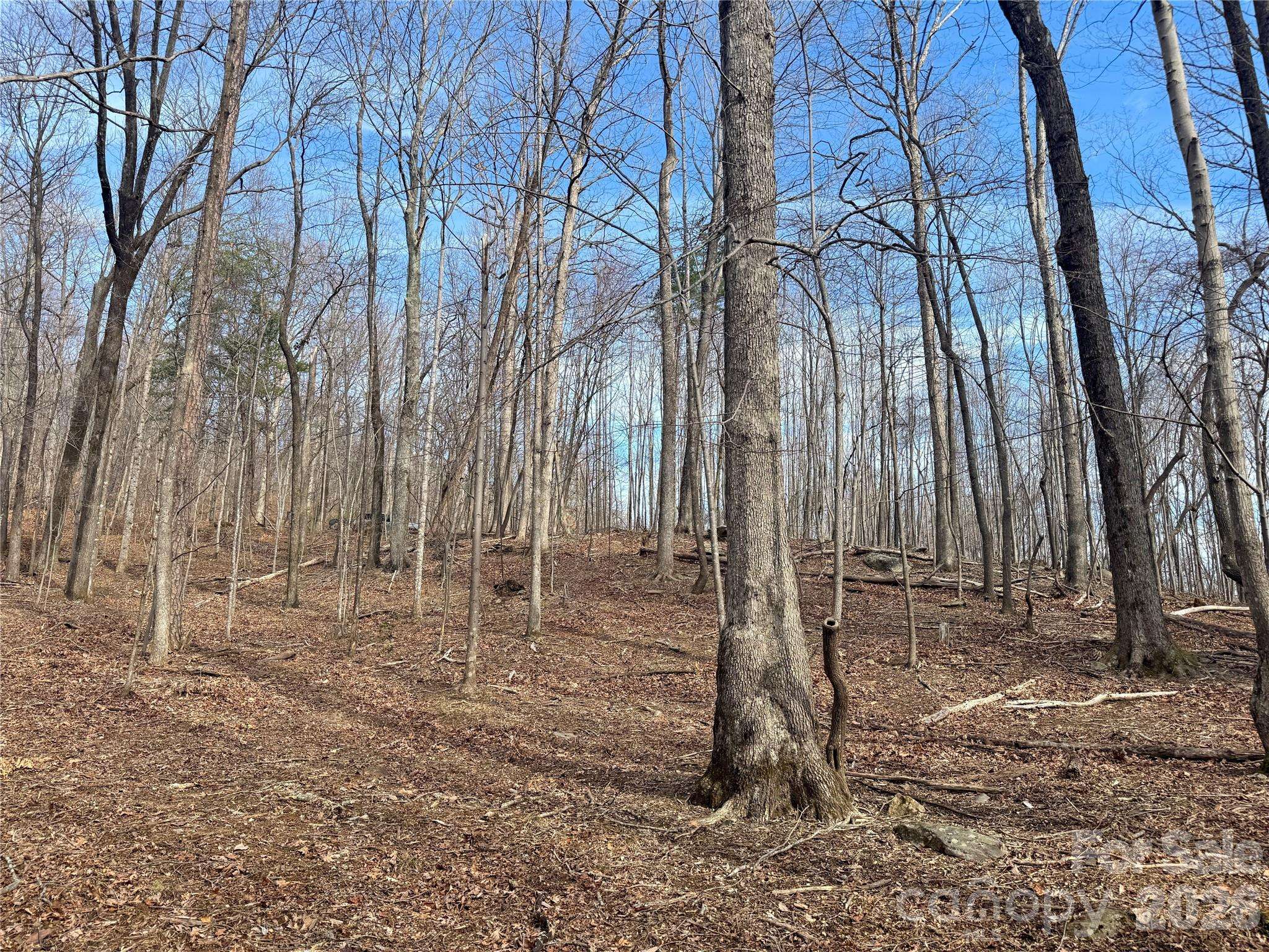 99999 Chesterfield DR #176, Mill Spring, NC 28756