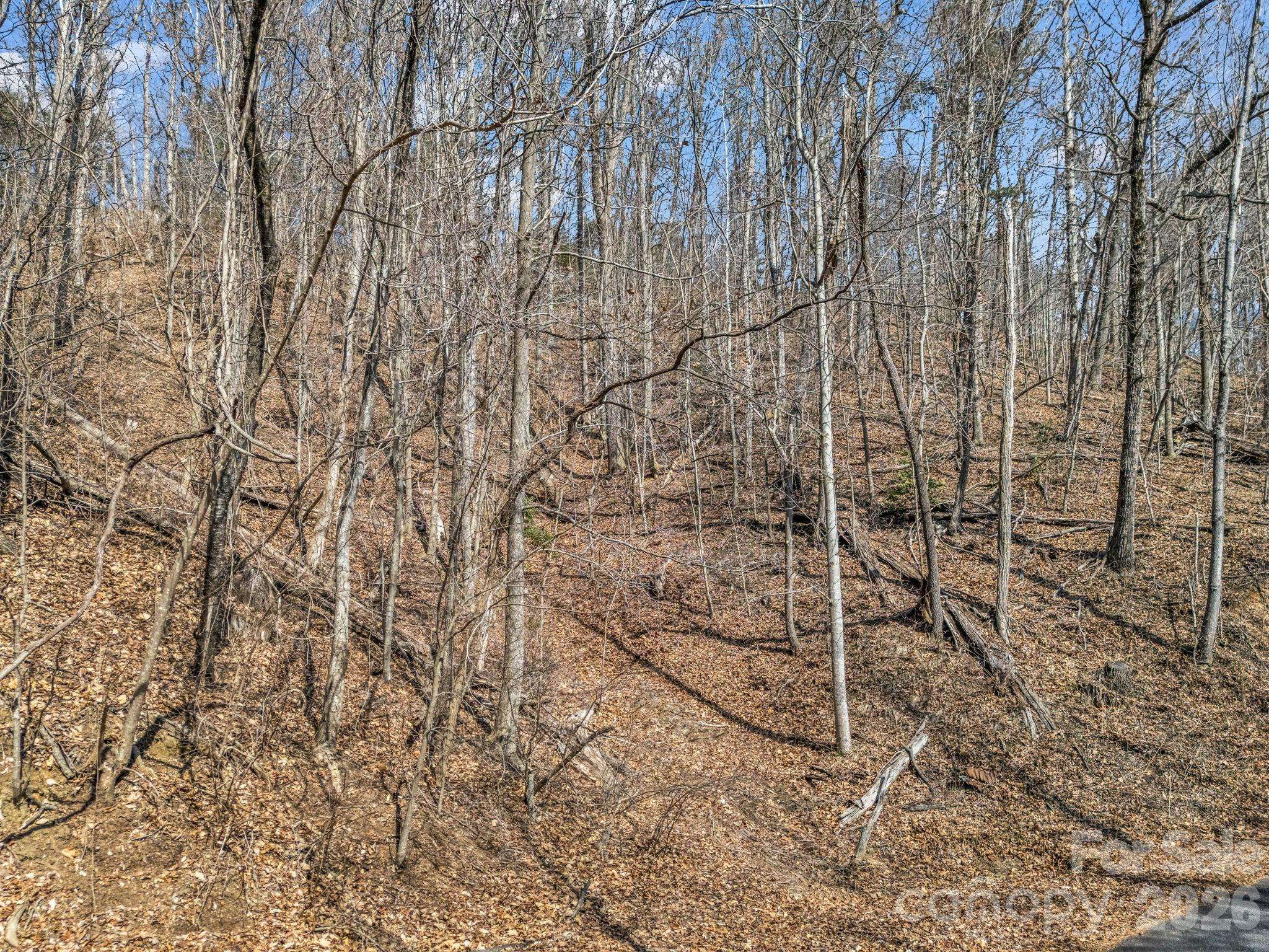 Lot #19 Hemlock TRL #19, Columbus, NC 28722