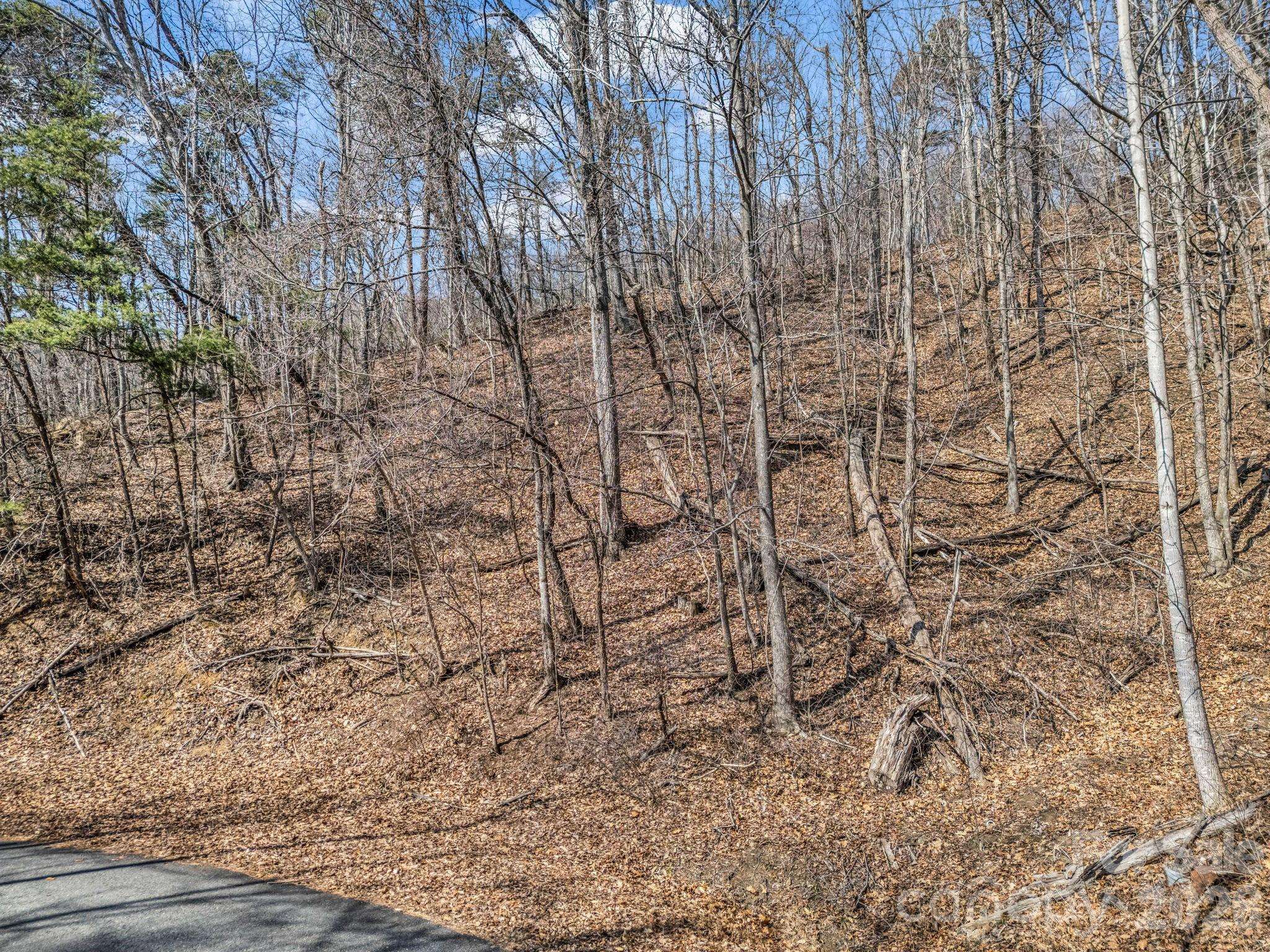 Lot #19 Hemlock TRL #19, Columbus, NC 28722