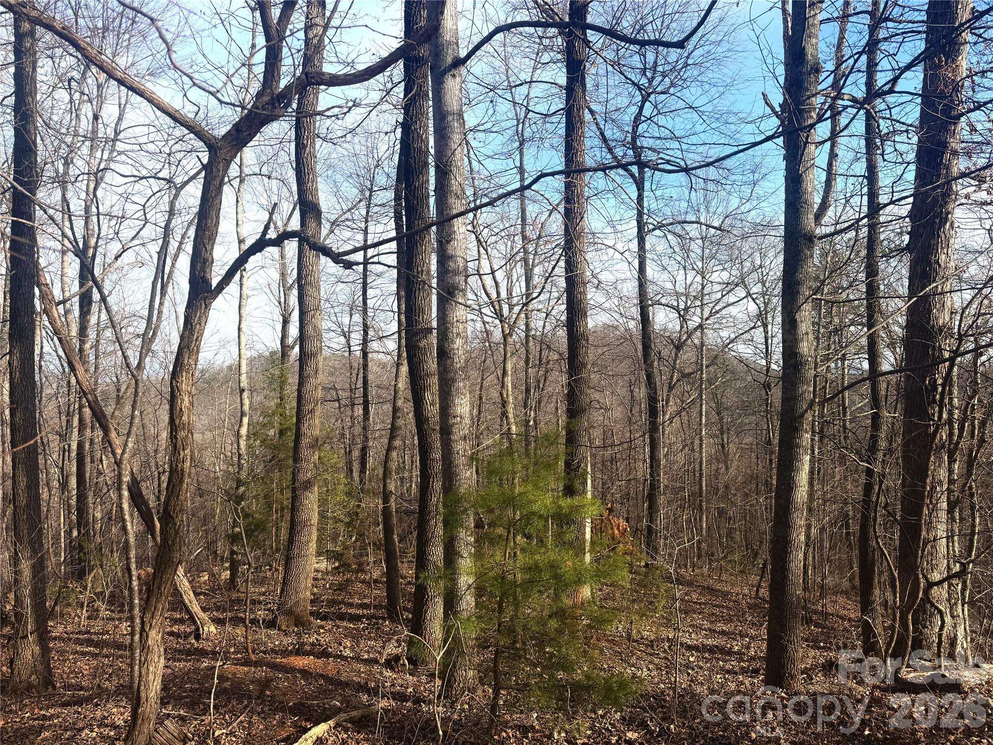 0 Peartree DR, Lake Lure, NC 28746