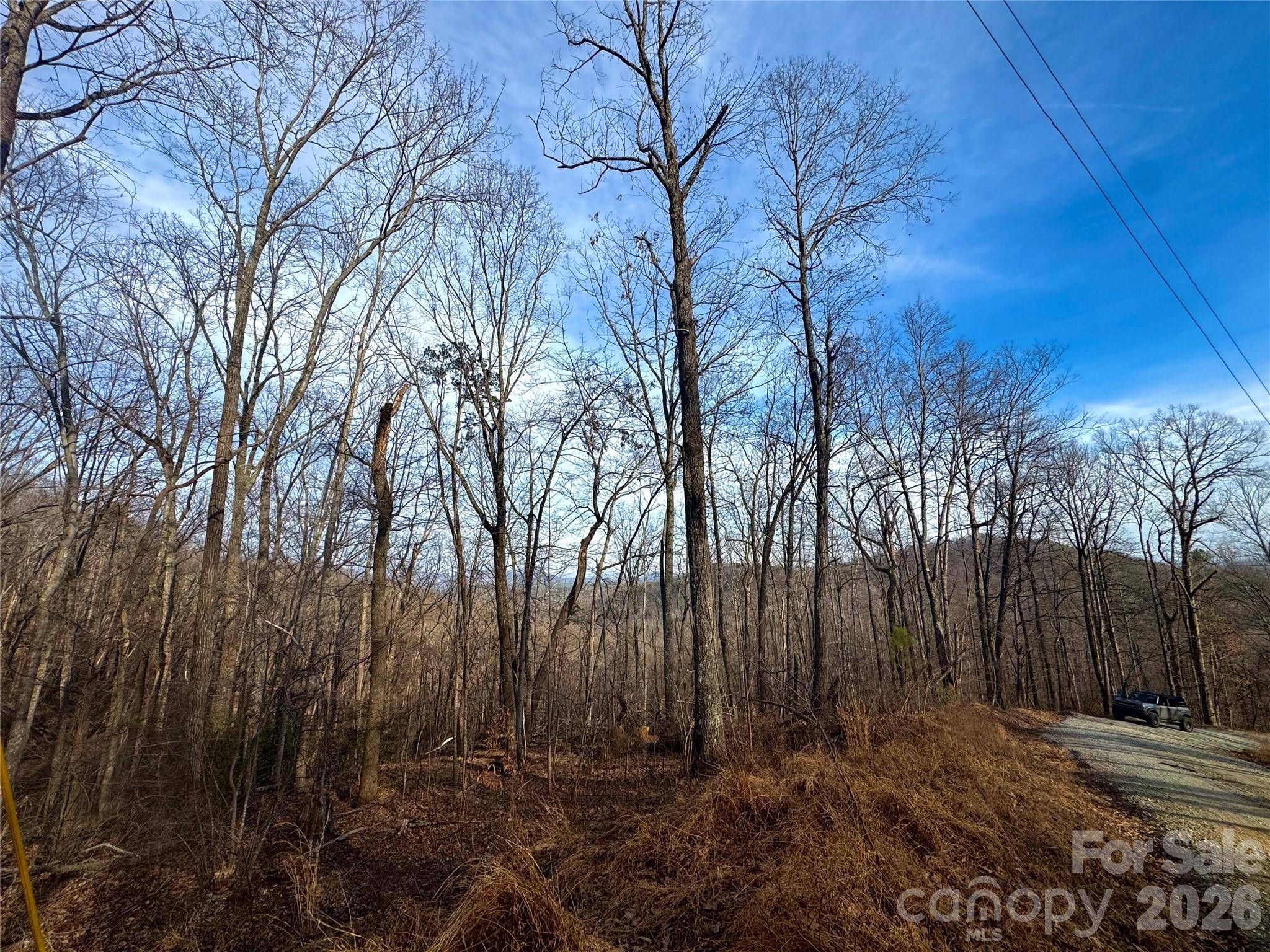 0 Peartree DR, Lake Lure, NC 28746