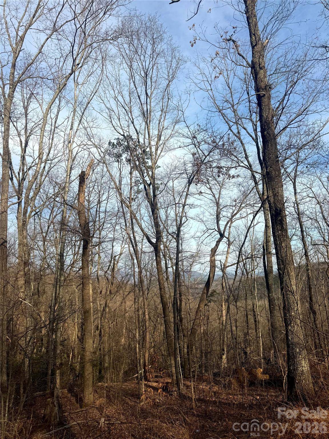 0 Peartree DR, Lake Lure, NC 28746