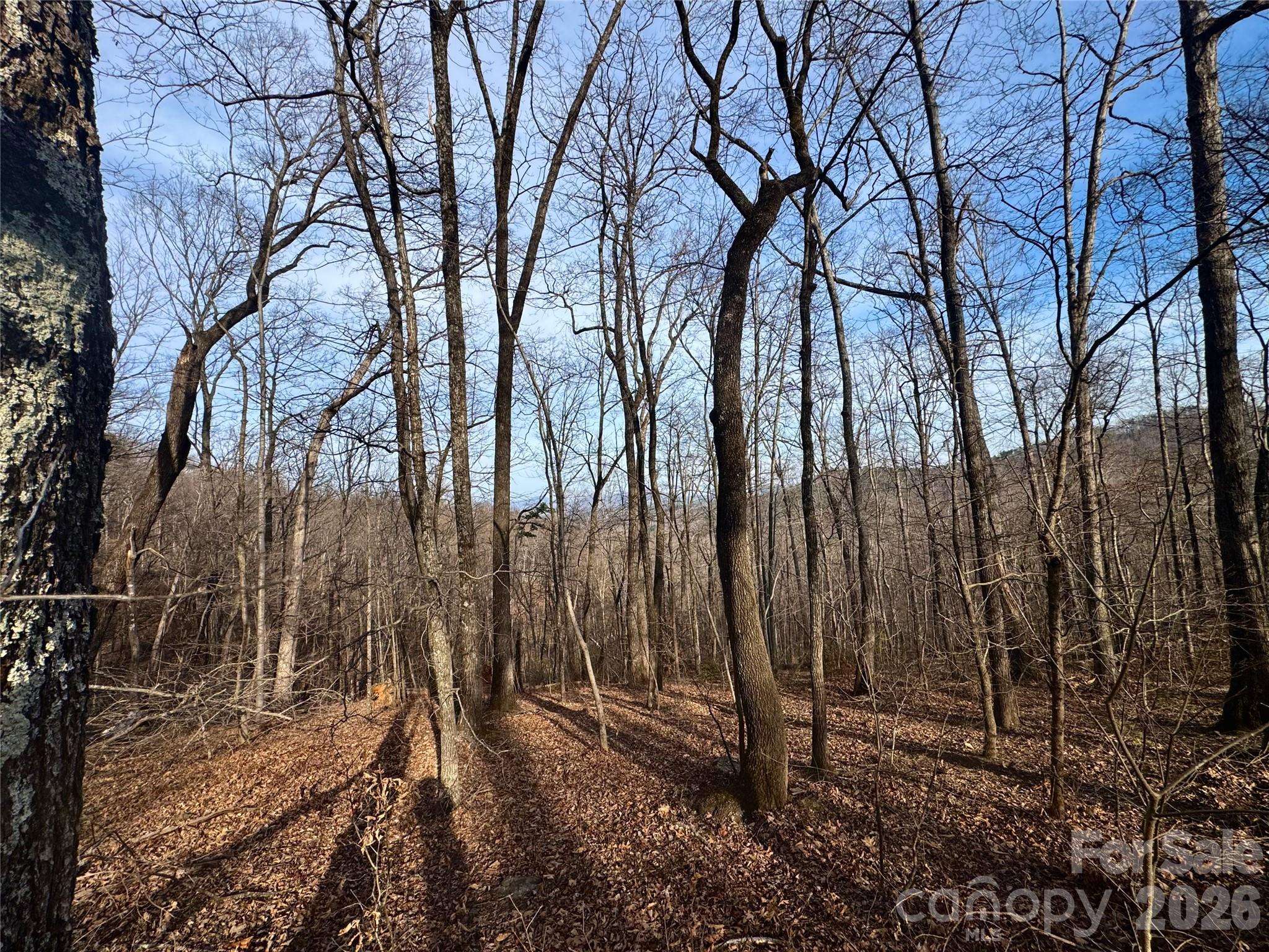 0 Peartree DR, Lake Lure, NC 28746