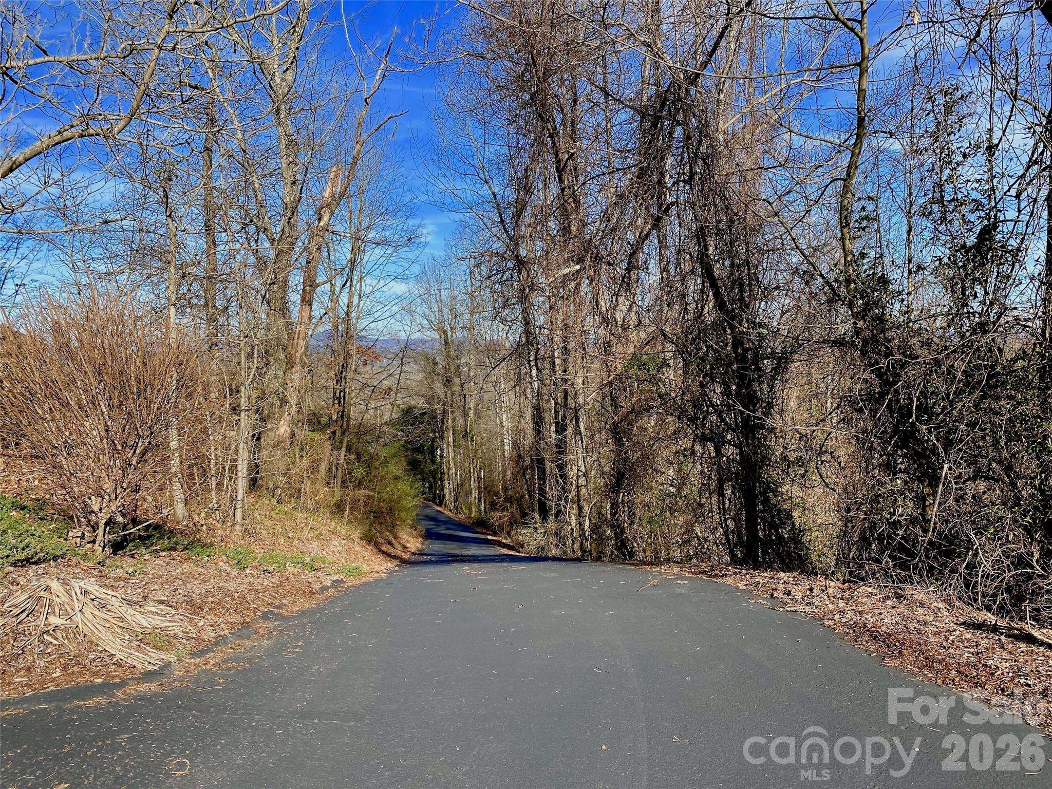 174 High Road Overlook None #24, Hendersonville, NC 28739