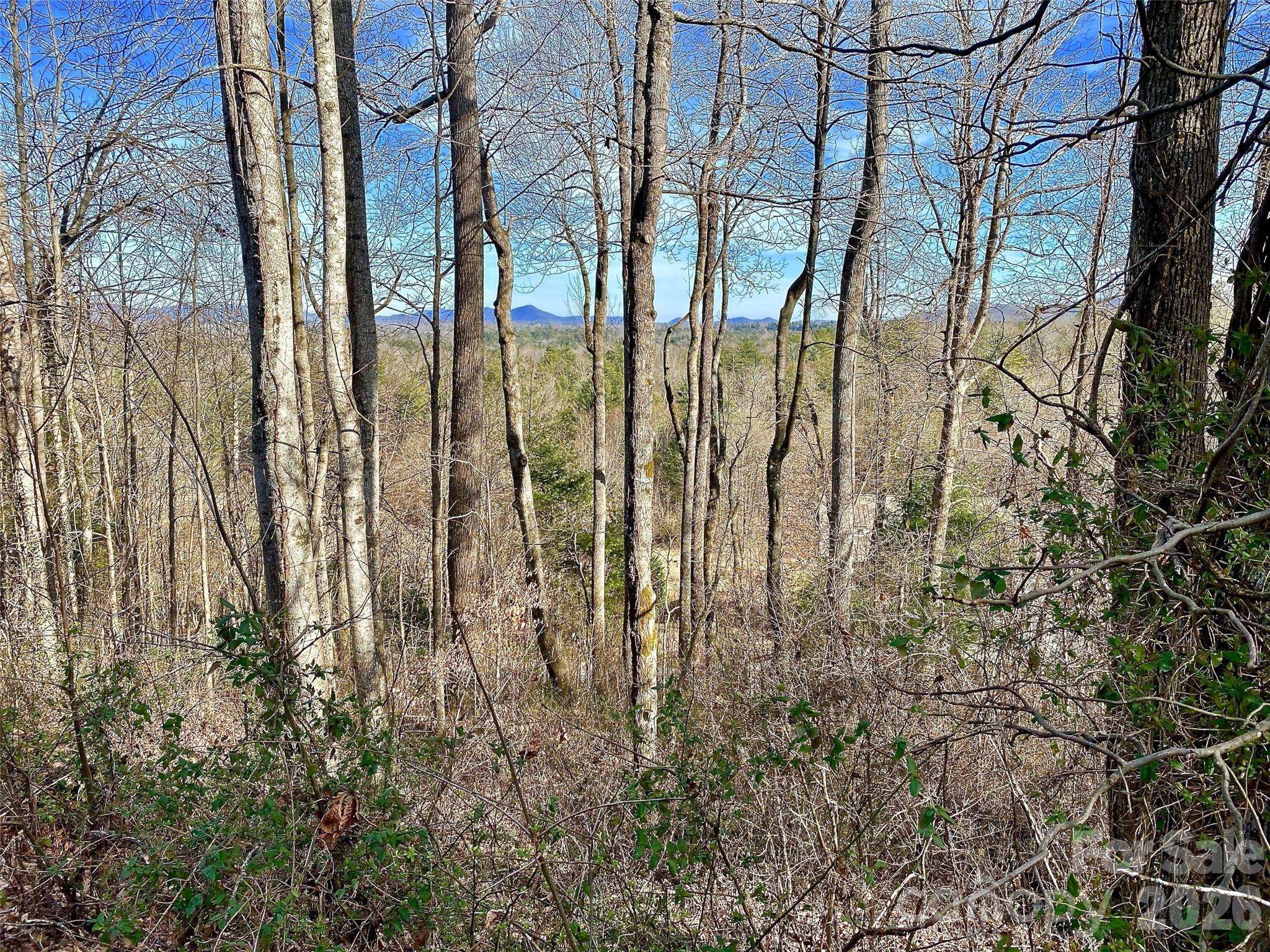 174 High Road Overlook None #24, Hendersonville, NC 28739