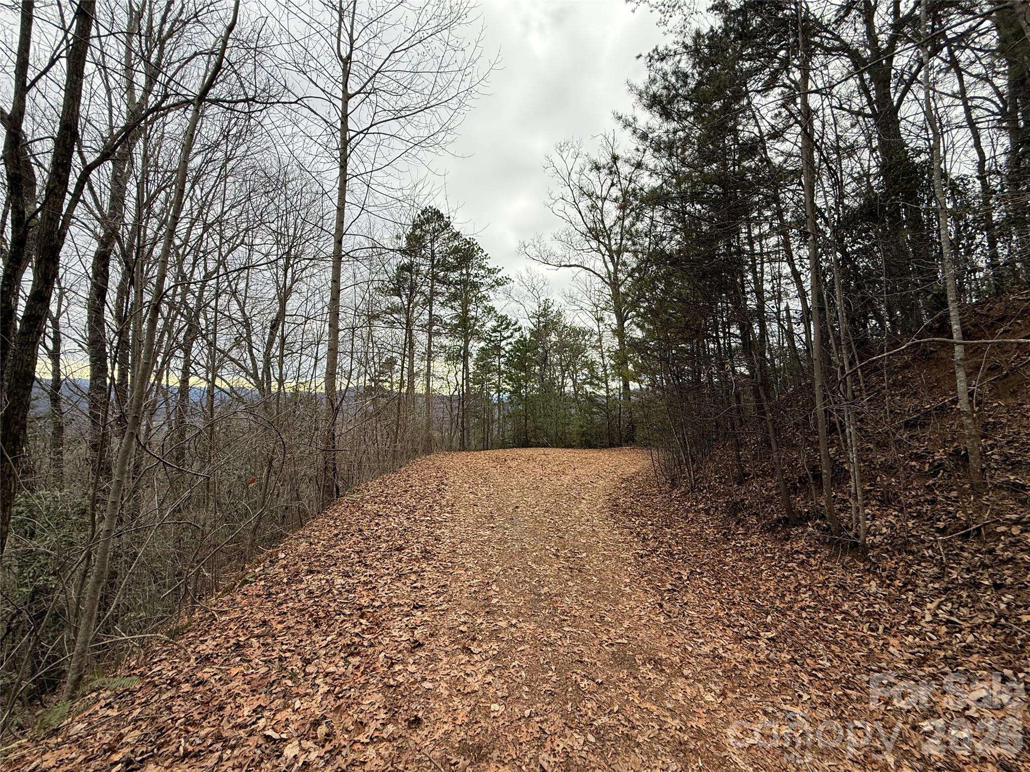 0 Betts Branch RD, Bryson City, NC 28713