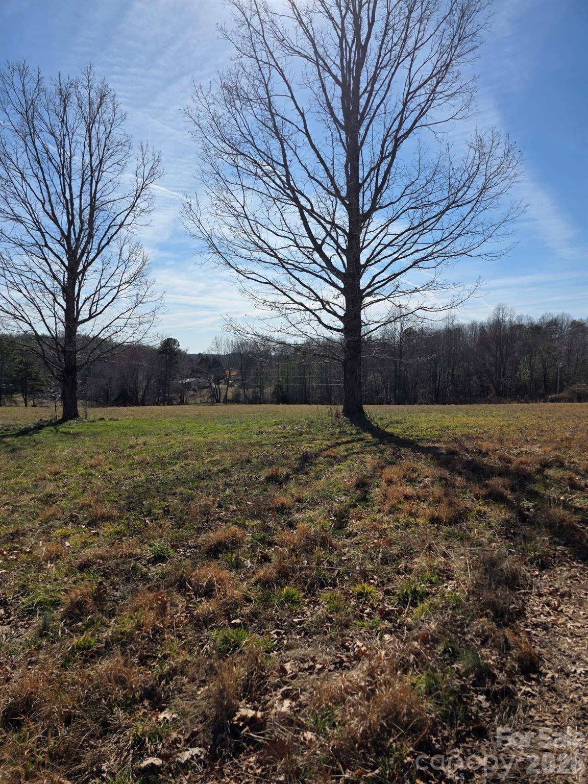4899 Teague Town RD, Taylorsville, NC 28681