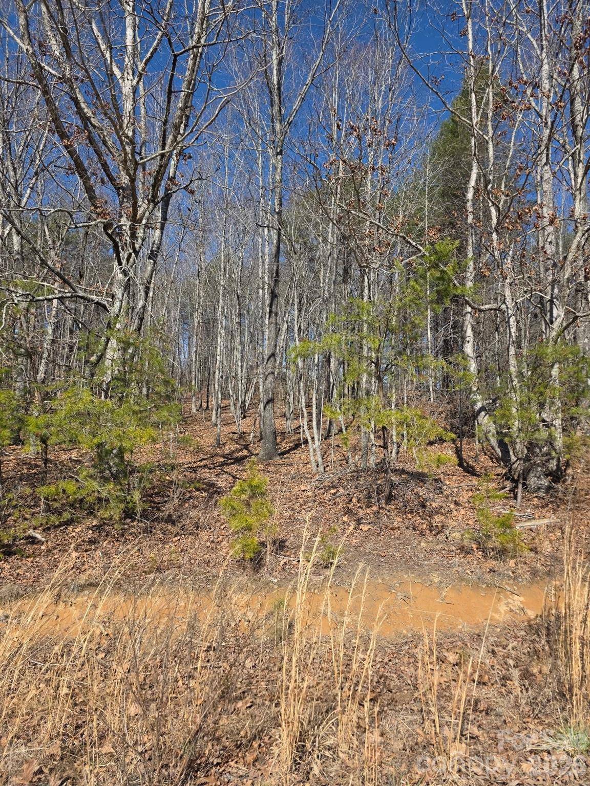 4899 Teague Town RD, Taylorsville, NC 28681