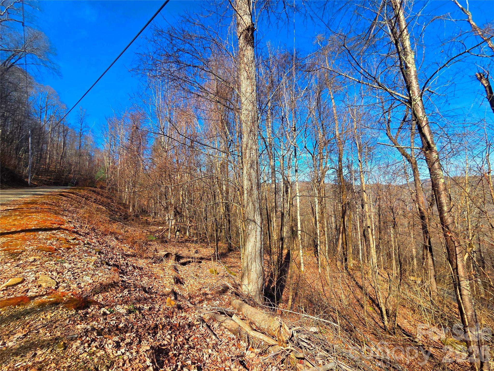 160 Slippery Rock RD #206, Waynesville, NC 28785