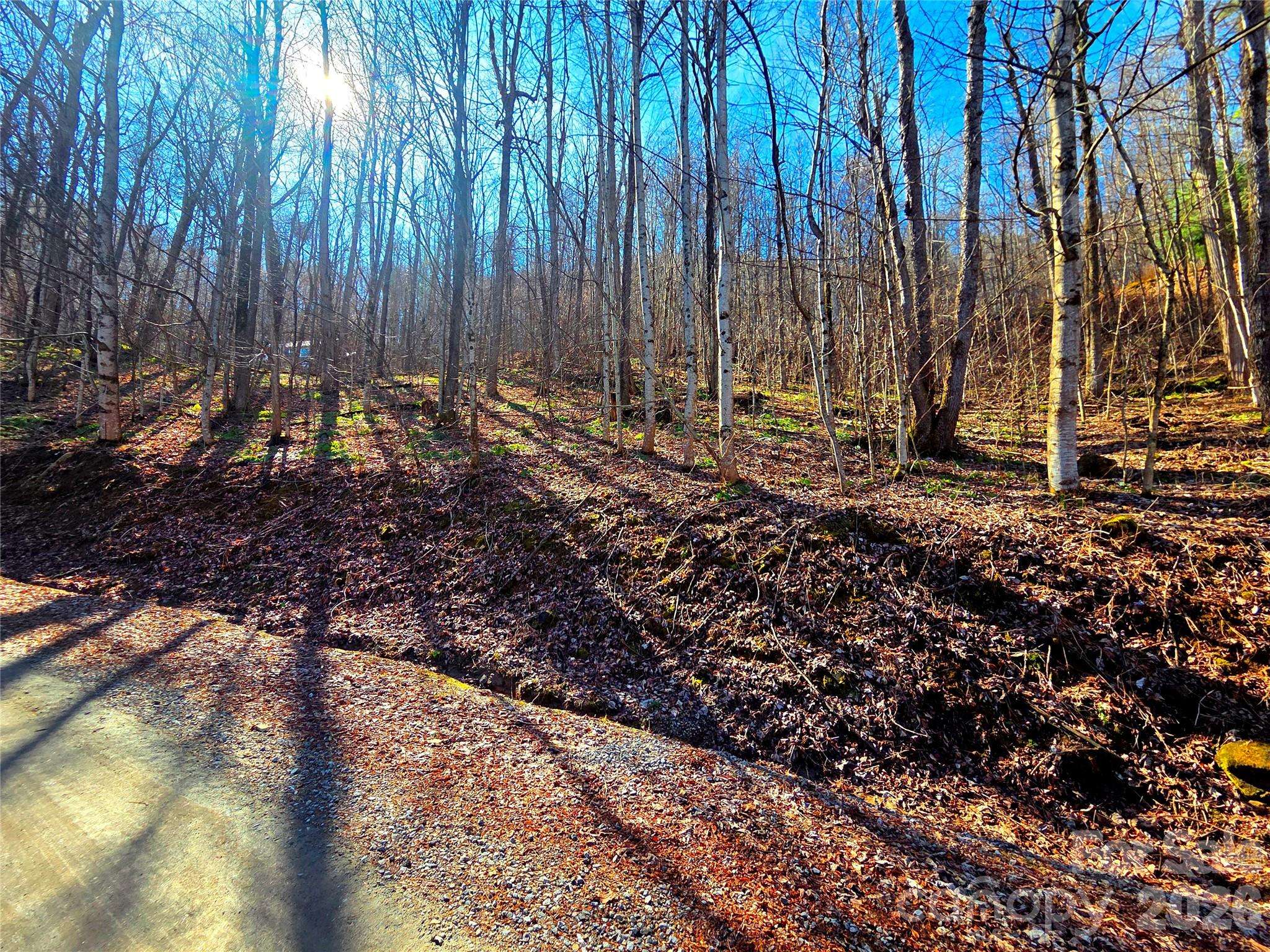 160 Slippery Rock RD #206, Waynesville, NC 28785
