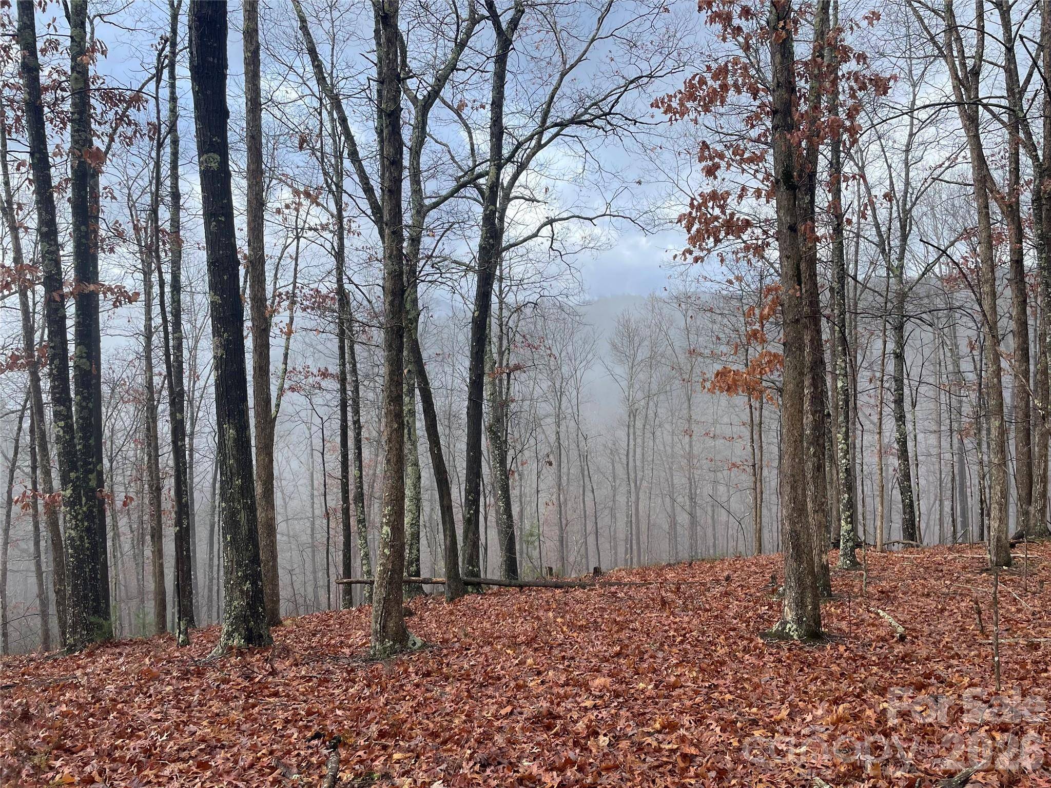 75 Wild Turkey LOOP #31, Marshall, NC 28753