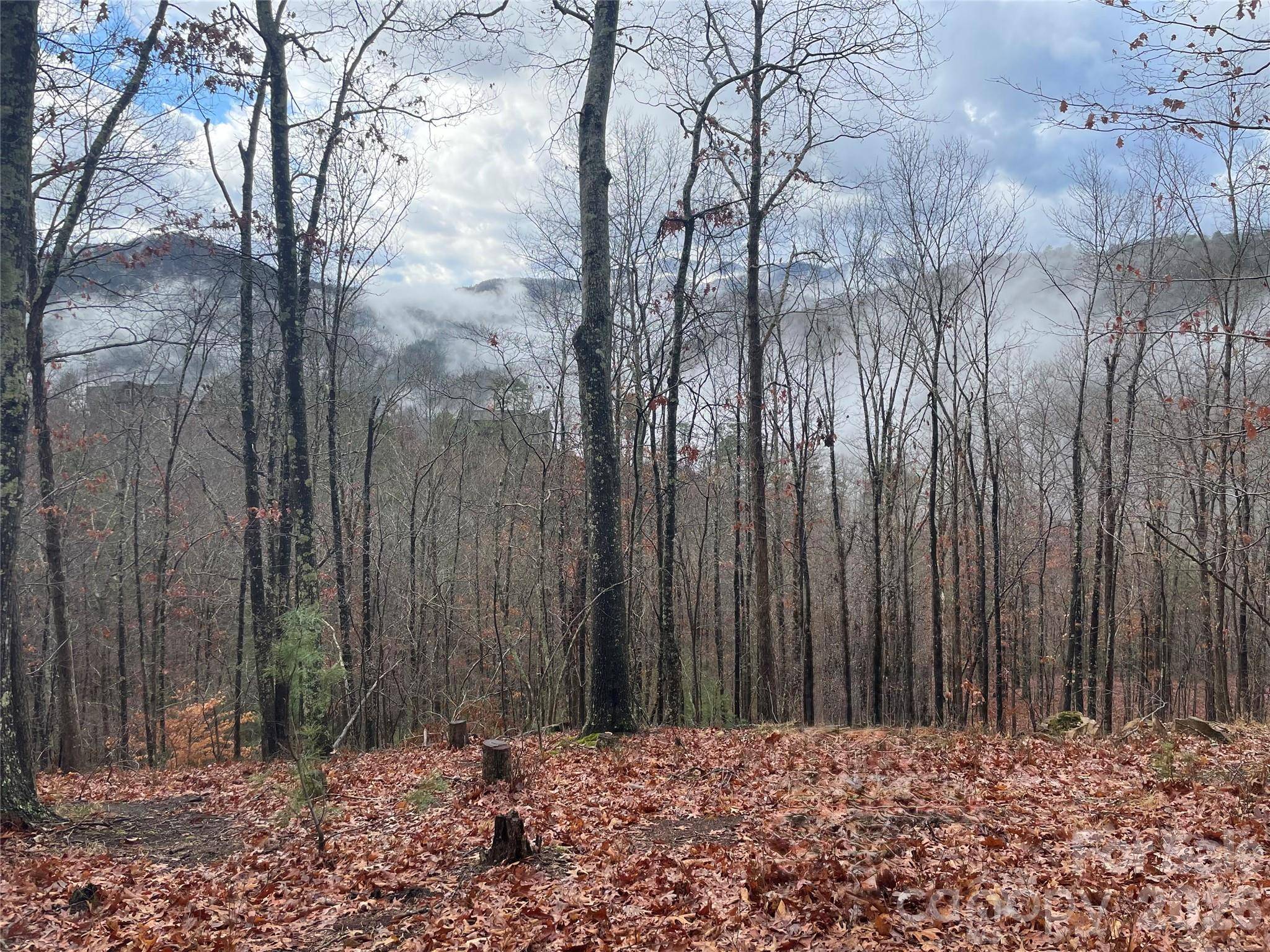 75 Wild Turkey LOOP #31, Marshall, NC 28753