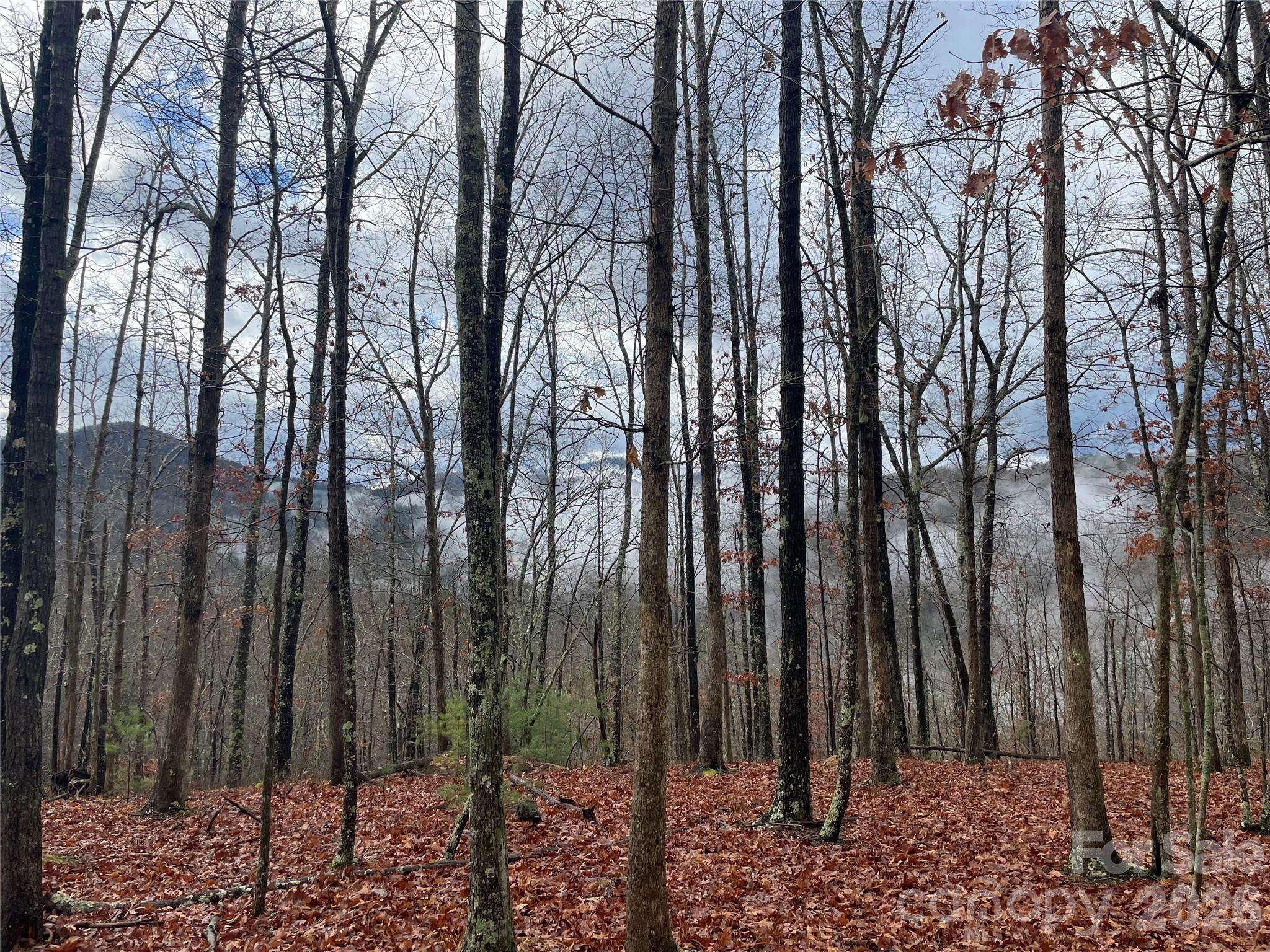 75 Wild Turkey LOOP #31, Marshall, NC 28753