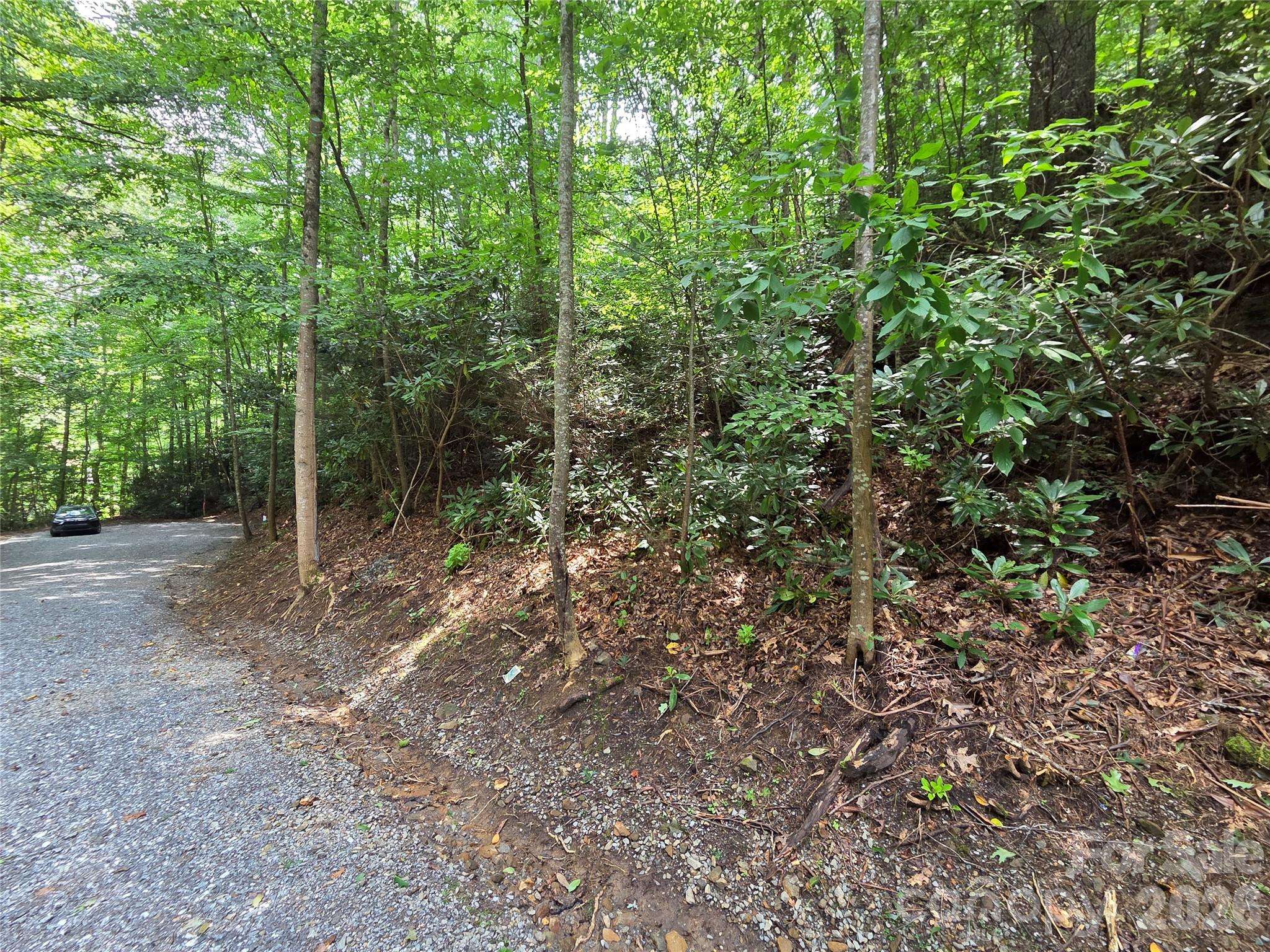 230 Serendipity LN #105, Waynesville, NC 28785