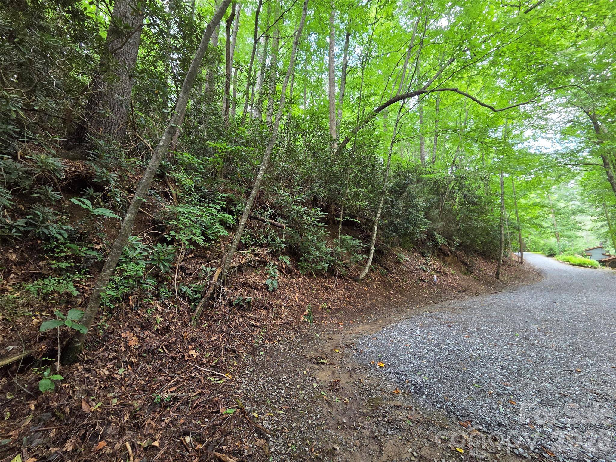 230 Serendipity LN #105, Waynesville, NC 28785