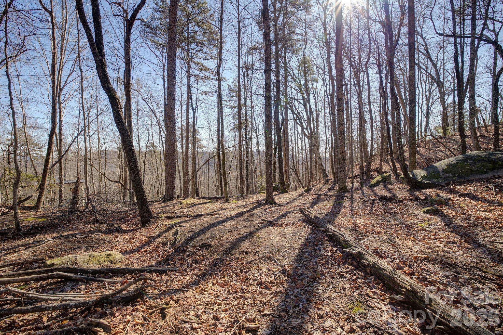 004 High Road CT #4, Lake Lure, NC 28746