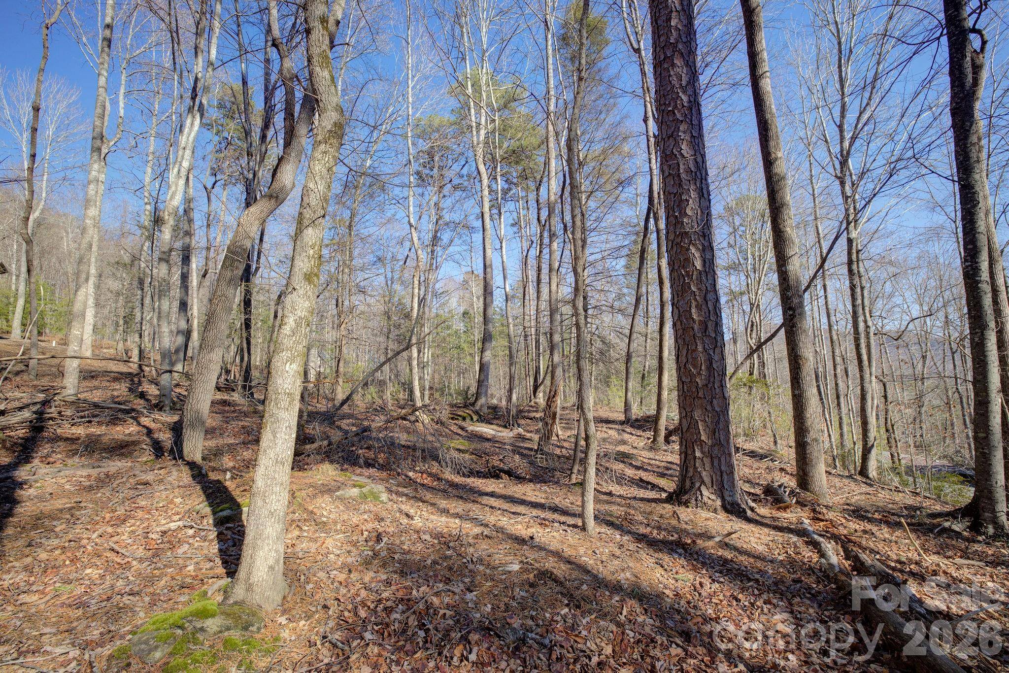 004 High Road CT #4, Lake Lure, NC 28746