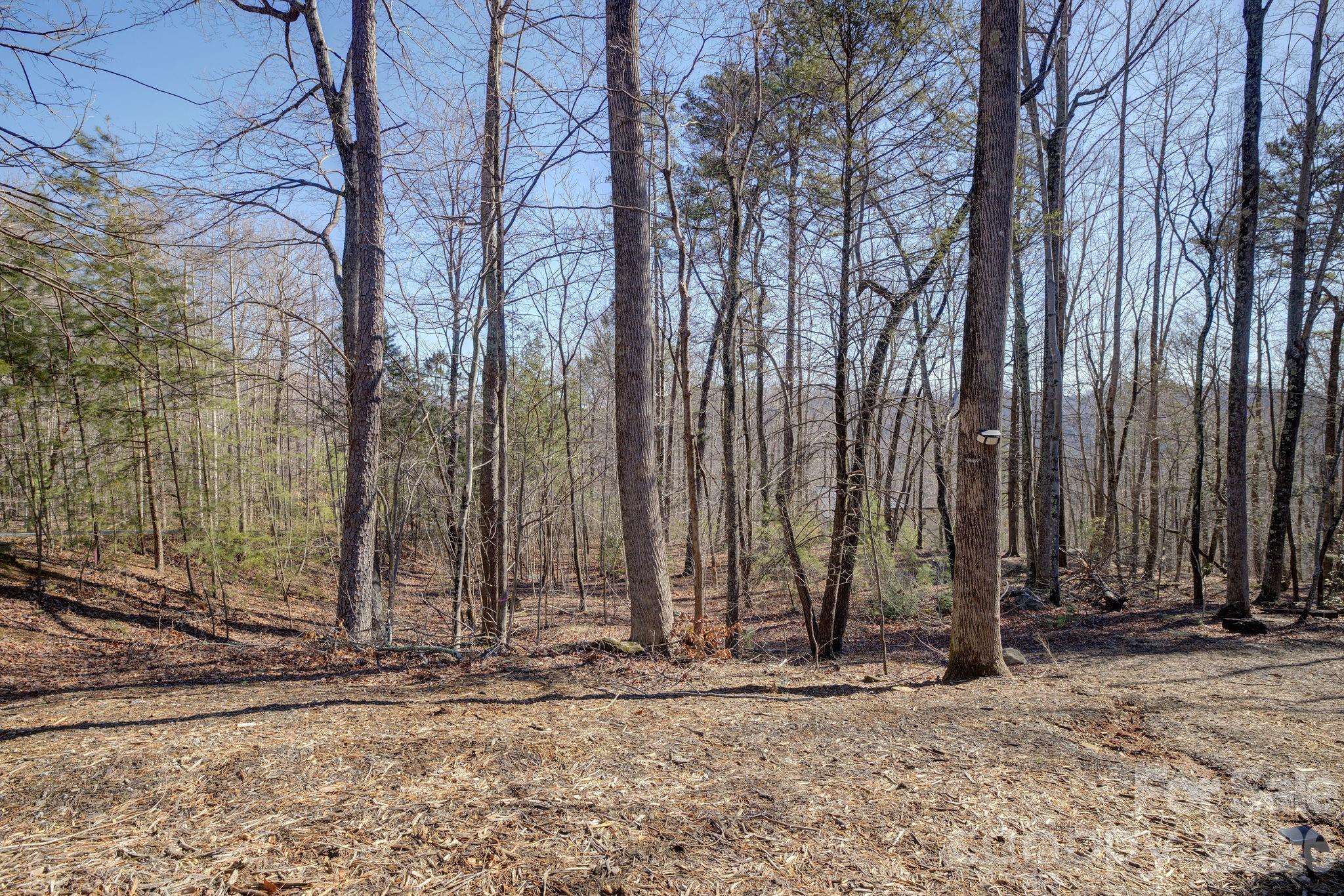 004 High Road CT #4, Lake Lure, NC 28746