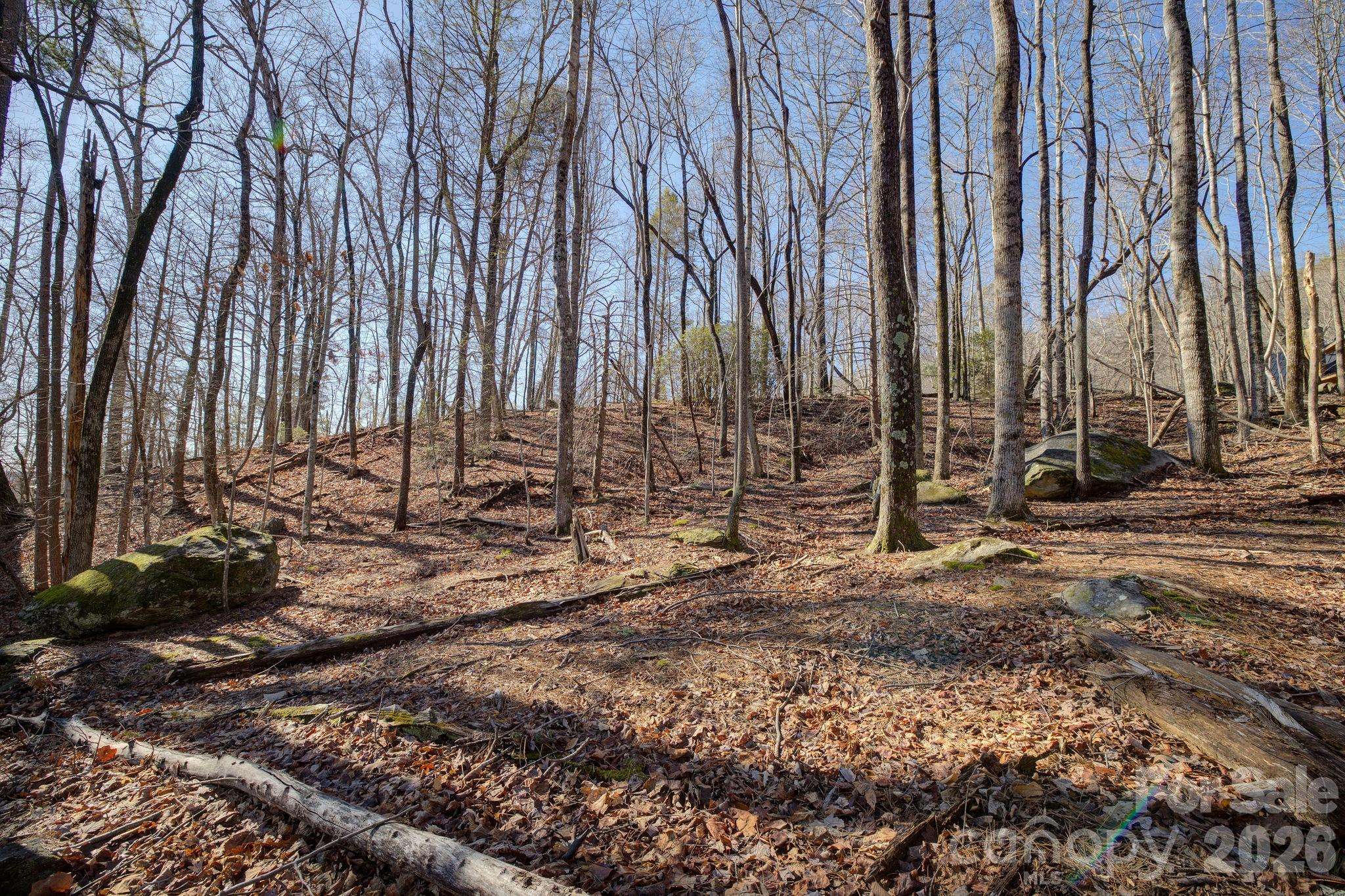 004 High Road CT #4, Lake Lure, NC 28746