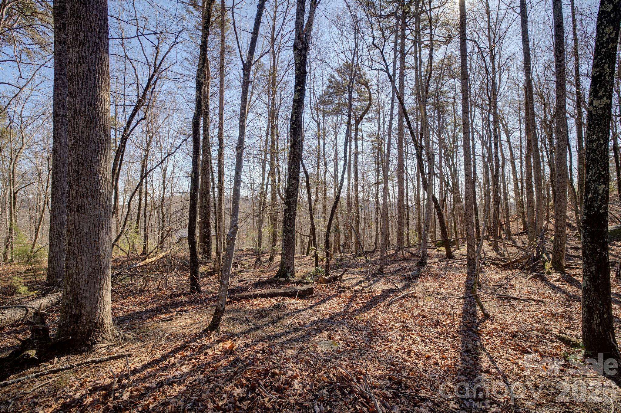 004 High Road CT #4, Lake Lure, NC 28746