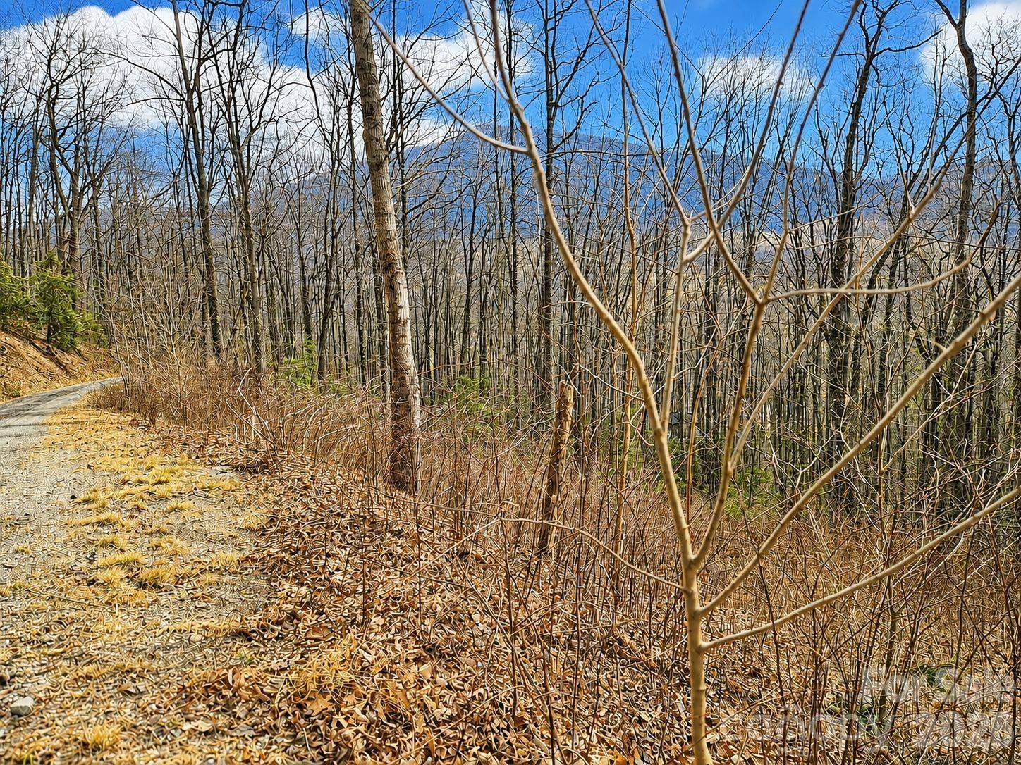 900 Fern TRL #31, Waynesville, NC 28786