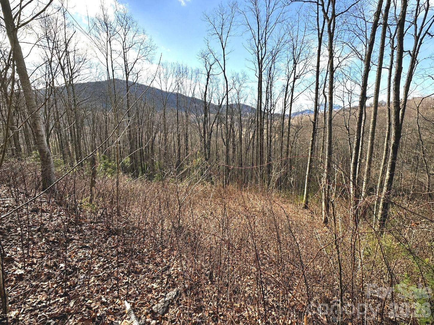 900 Fern TRL #31, Waynesville, NC 28786