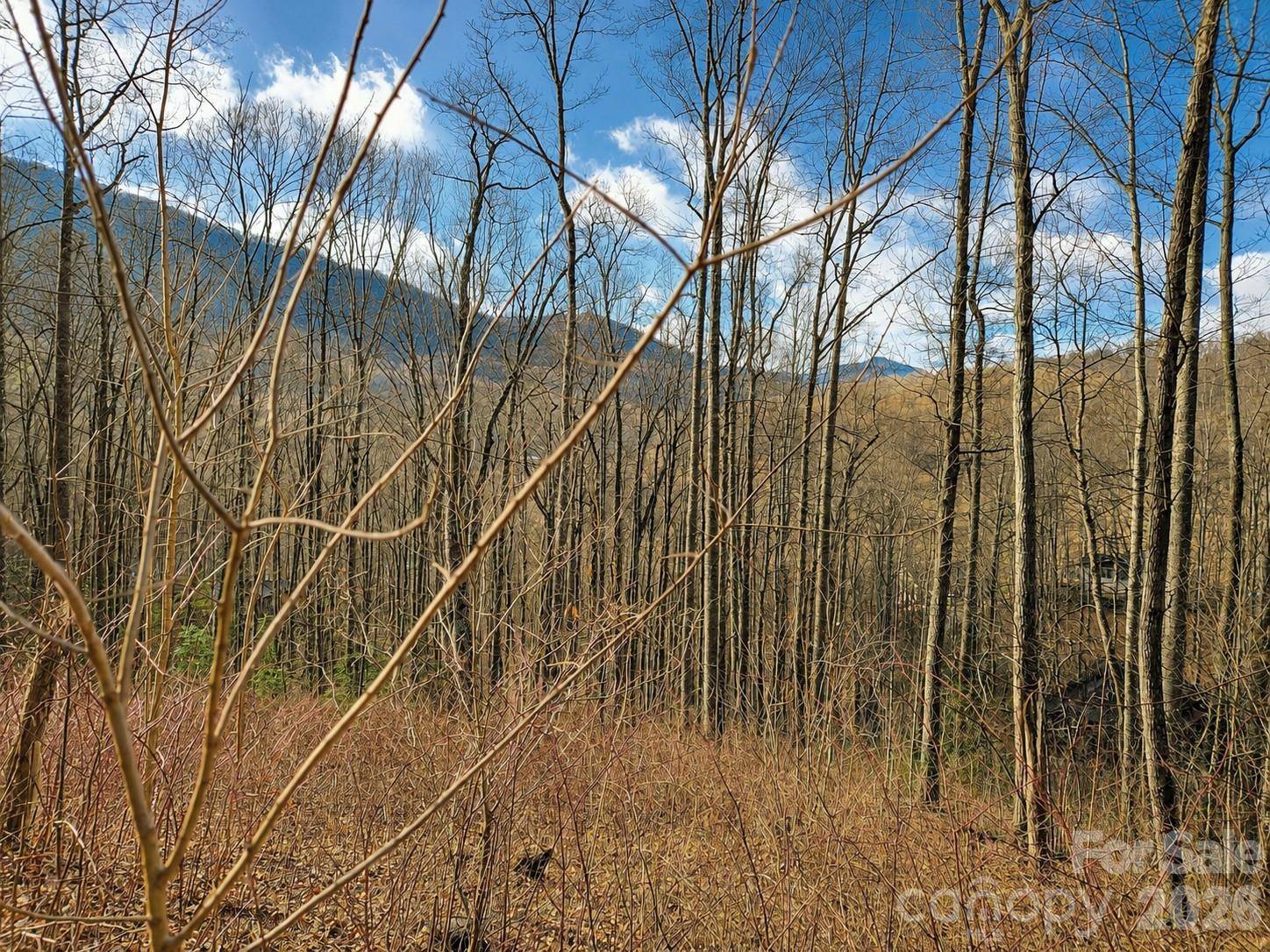 900 Fern TRL #31, Waynesville, NC 28786