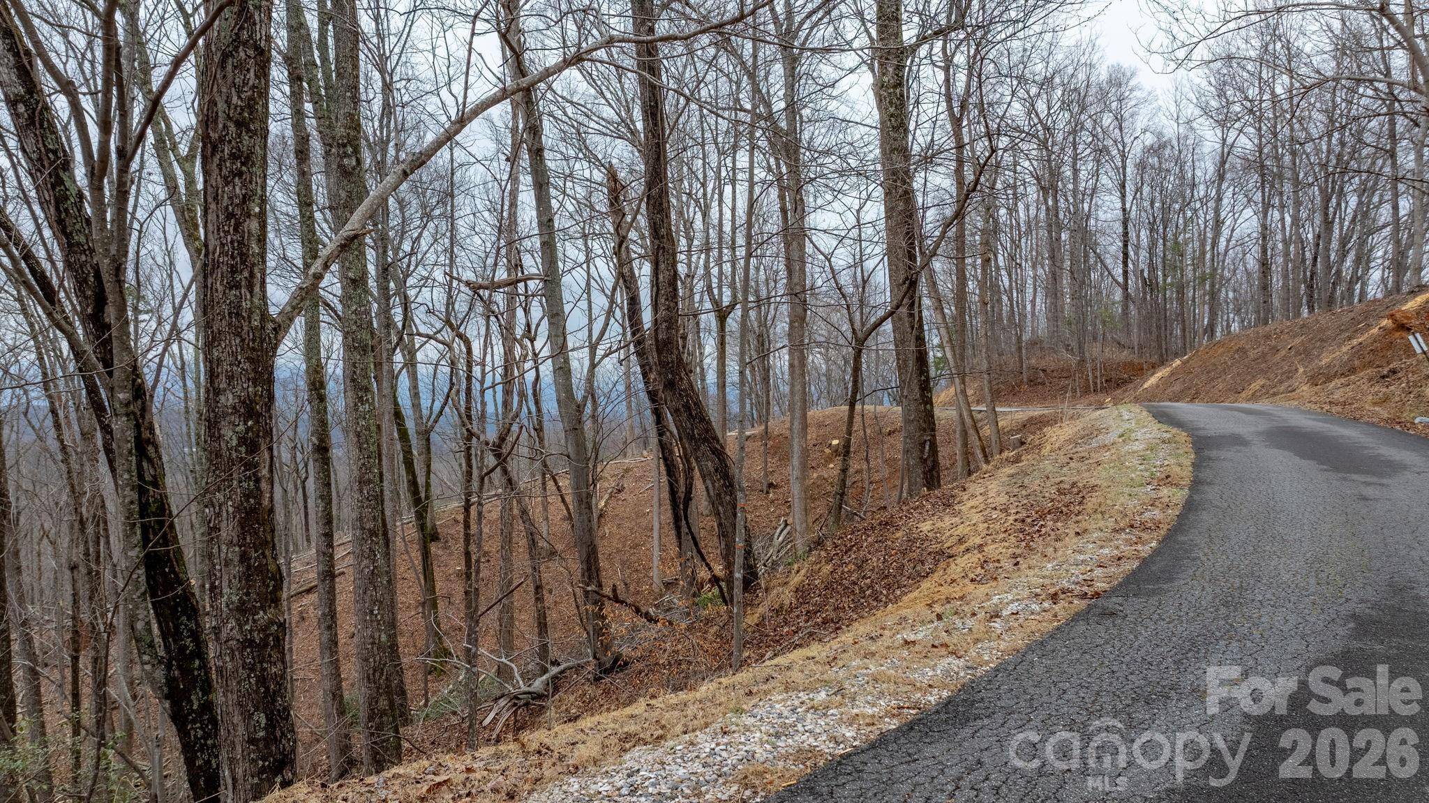0 Mountain Crest DR S #39, Marion, NC 28752