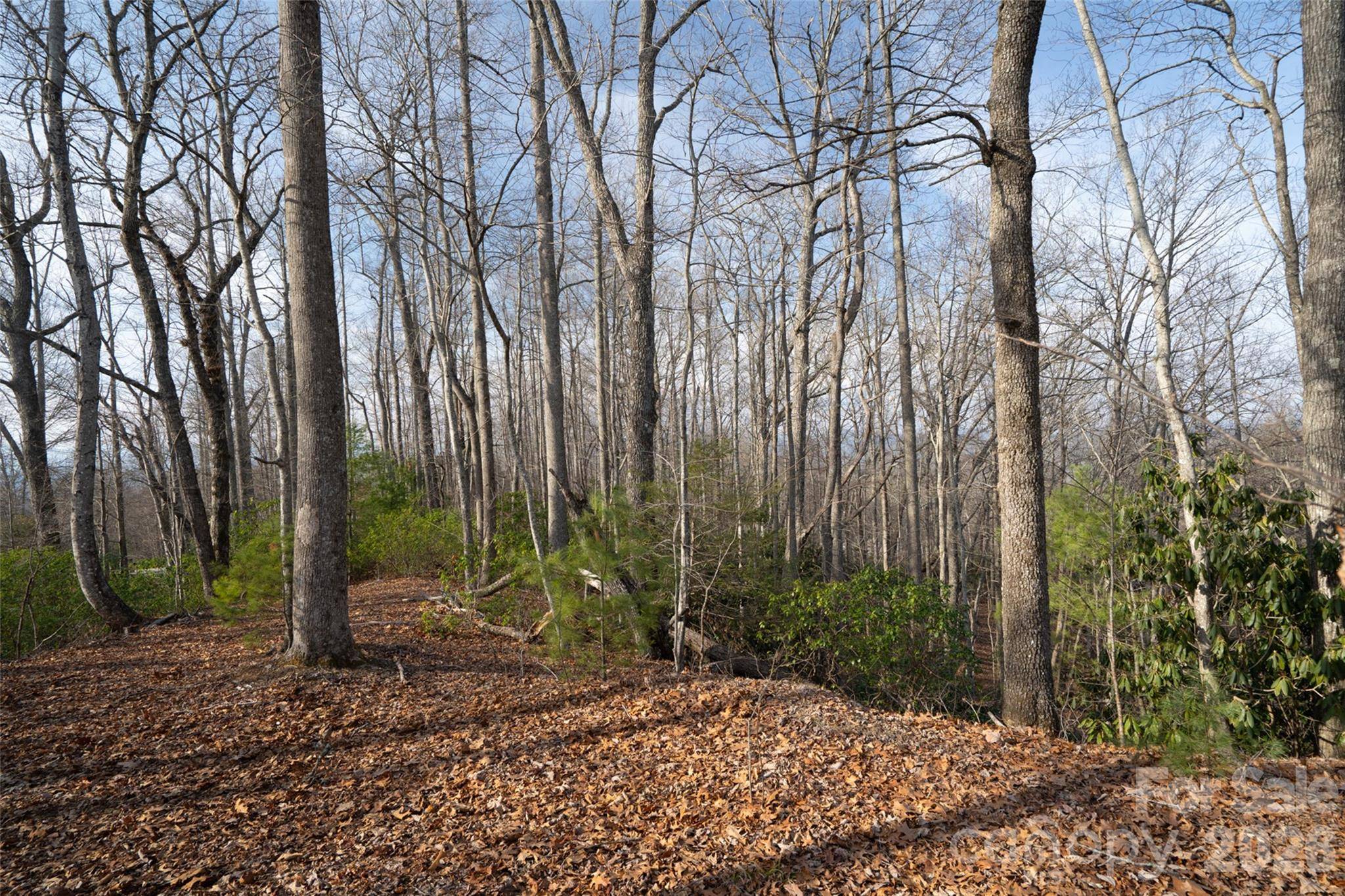 29 Open Ridge TRL, Pisgah Forest, NC 28768