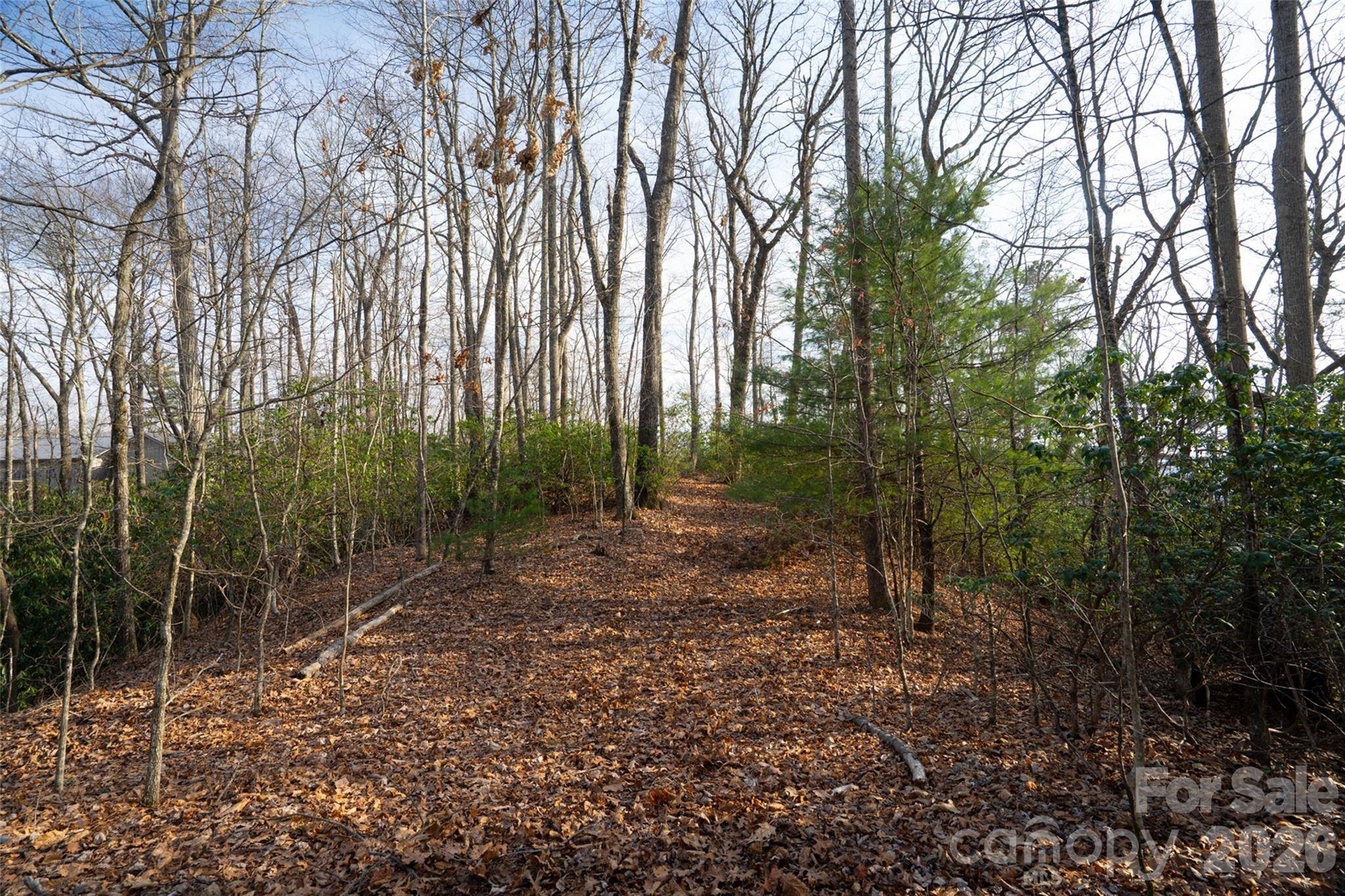 29 Open Ridge TRL, Pisgah Forest, NC 28768