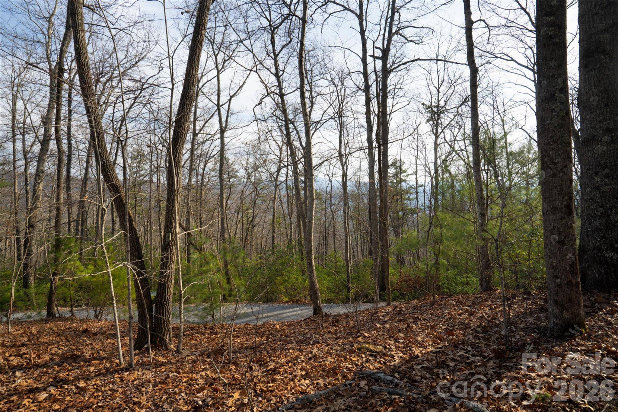 29 Open Ridge TRL, Pisgah Forest, NC 28768