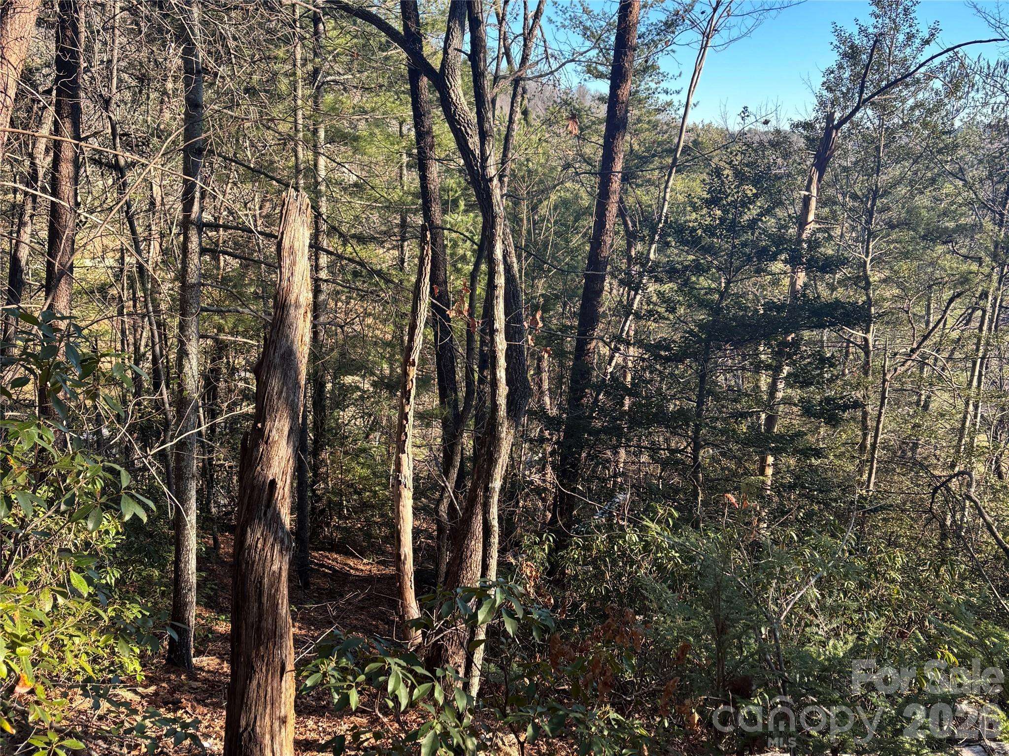 Lot 20 Nicklaus LN, Lake Lure, NC 28746