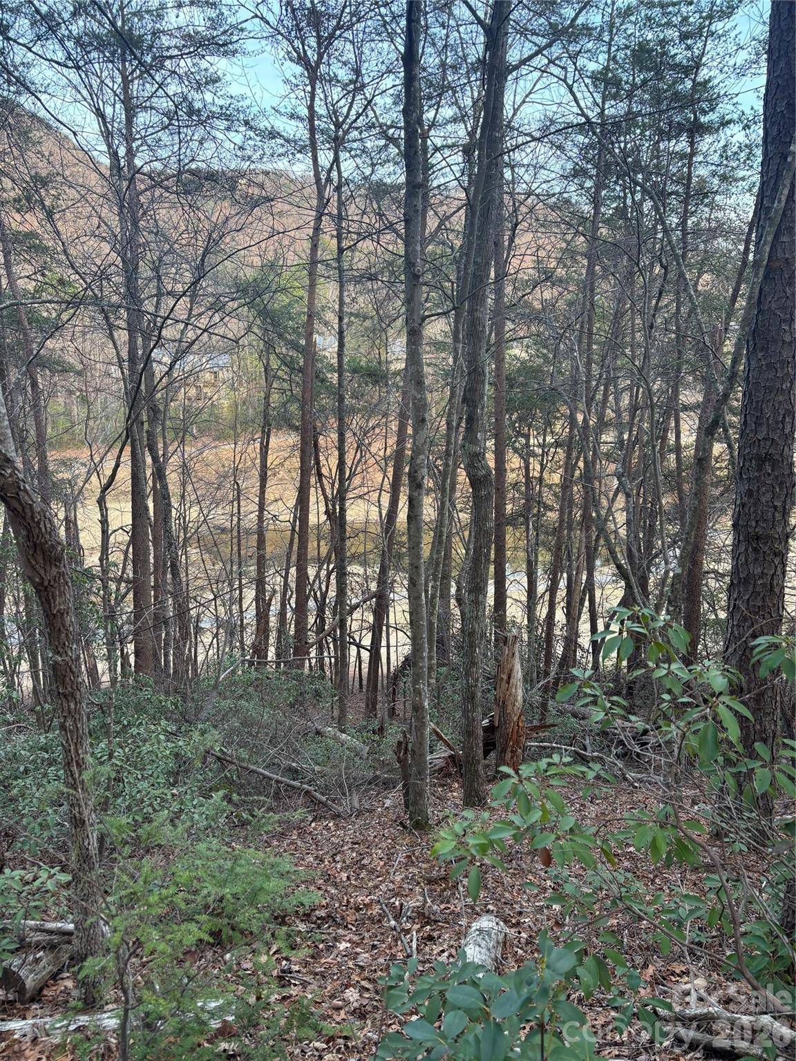 Lot 20 Nicklaus LN, Lake Lure, NC 28746