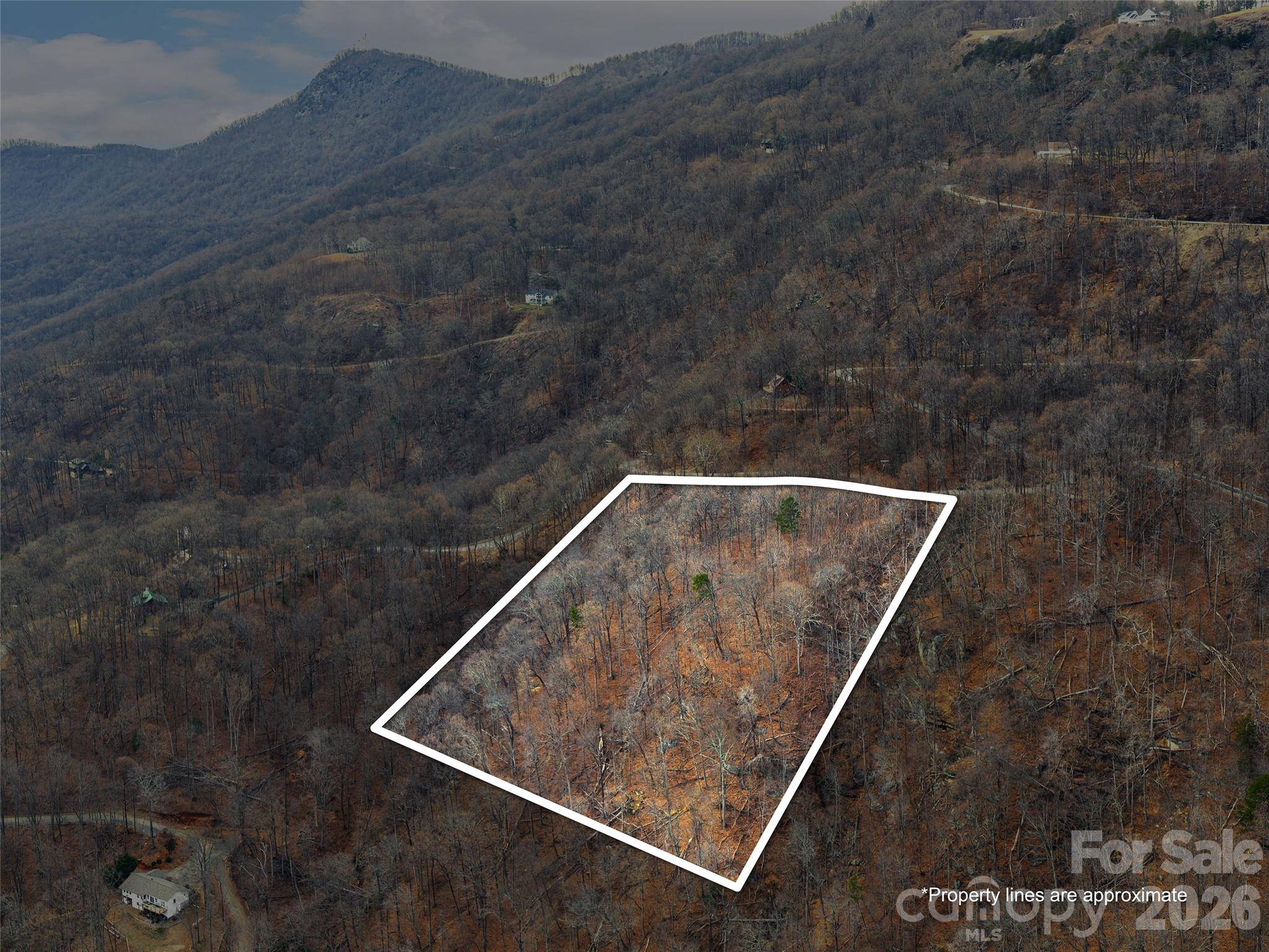 Lot 56 White Oak Mountain RD #56, Columbus, NC 28722