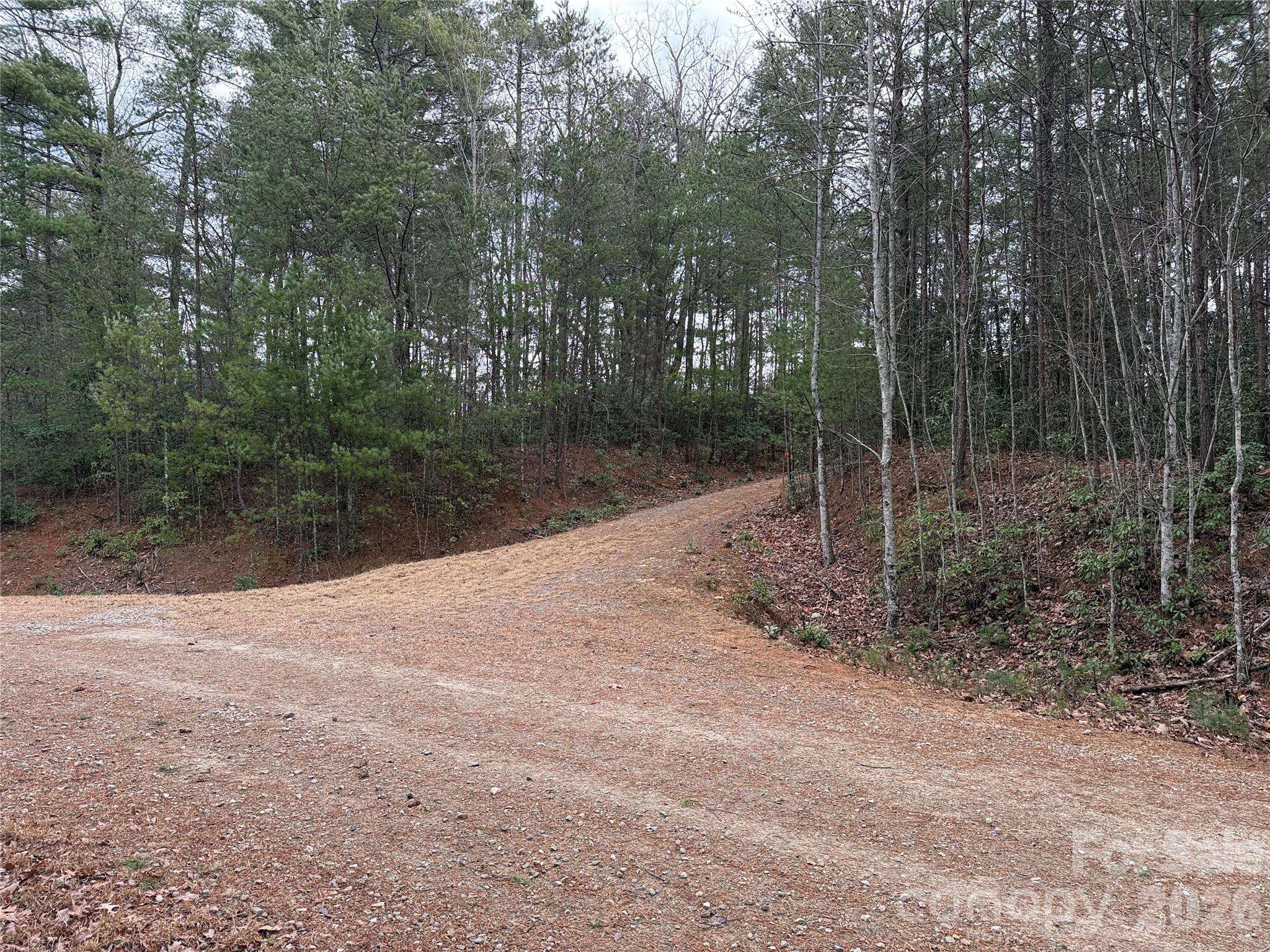 TBD Deer Antler DR #82, Purlear, NC 28665