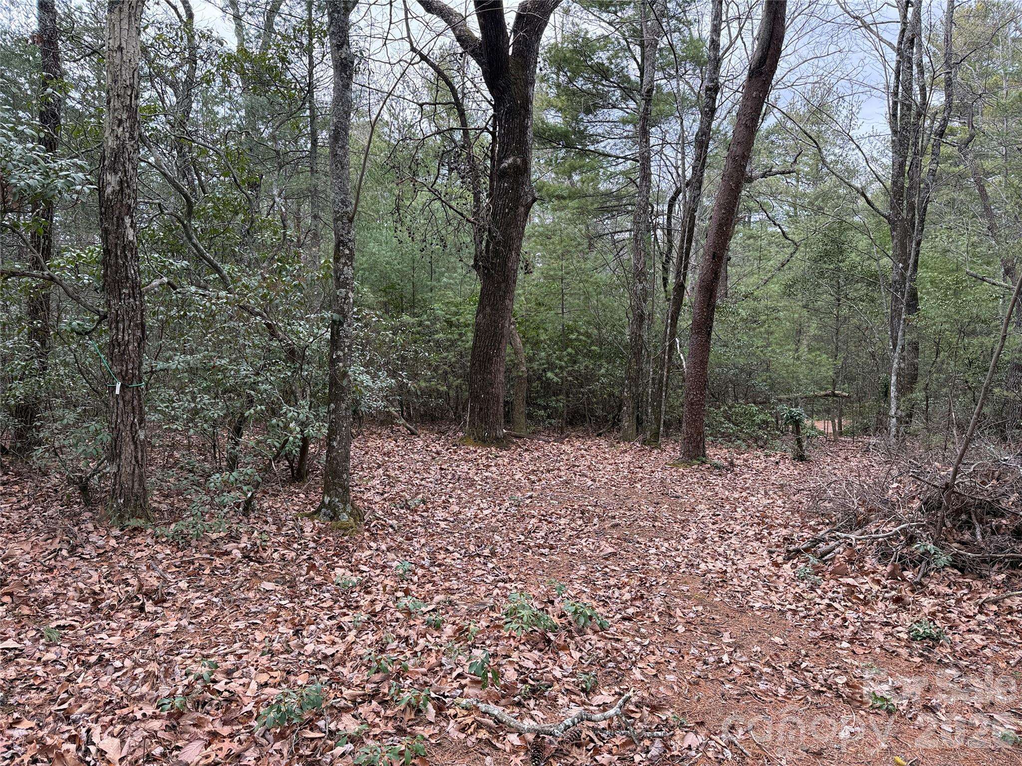 TBD Deer Antler DR #82, Purlear, NC 28665