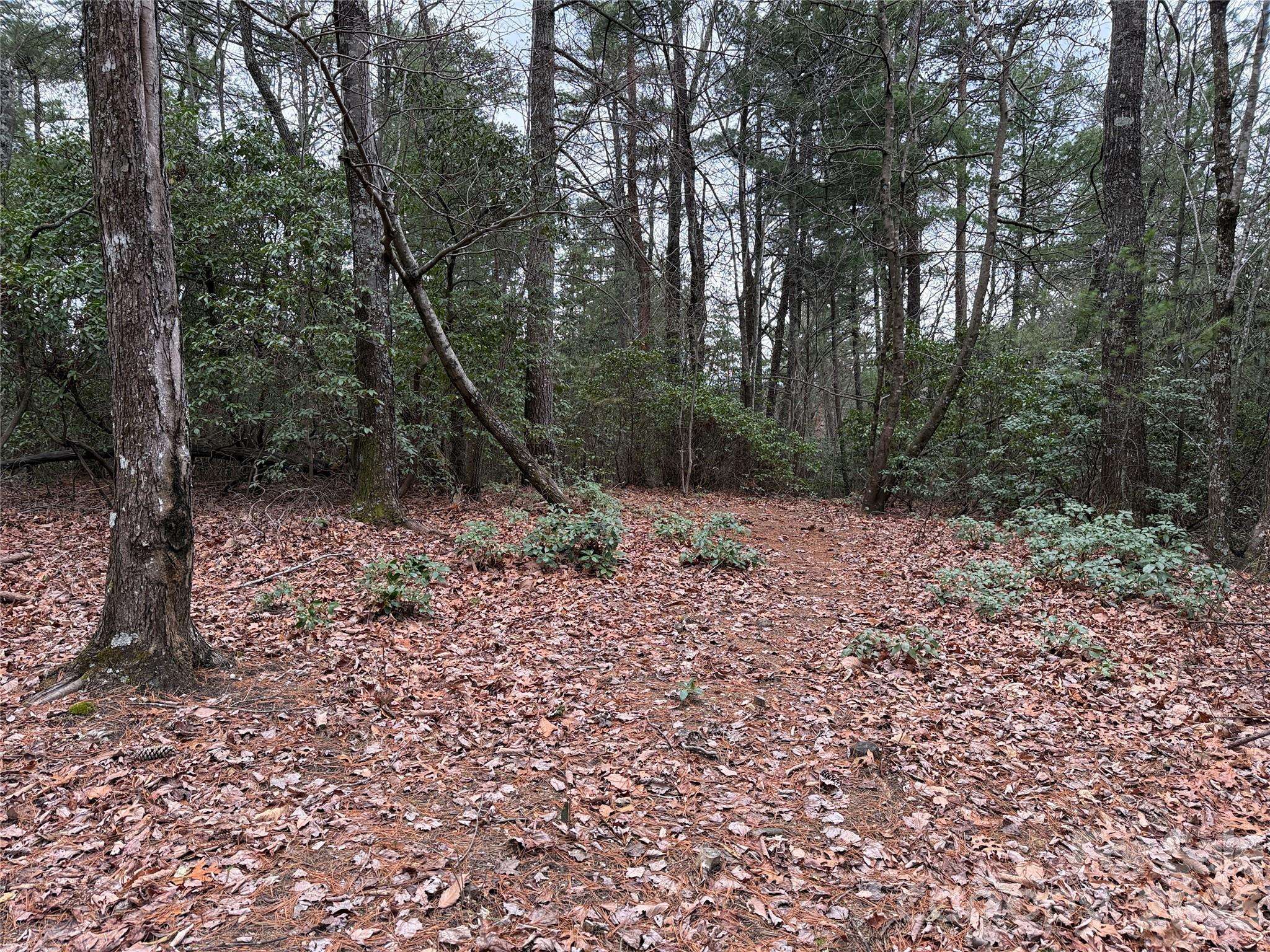 TBD Deer Antler DR #82, Purlear, NC 28665