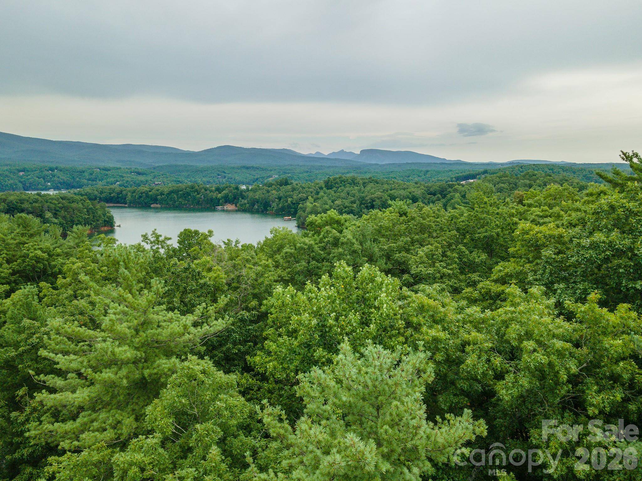 TBD Dockside DR #13A, Nebo, NC 28761