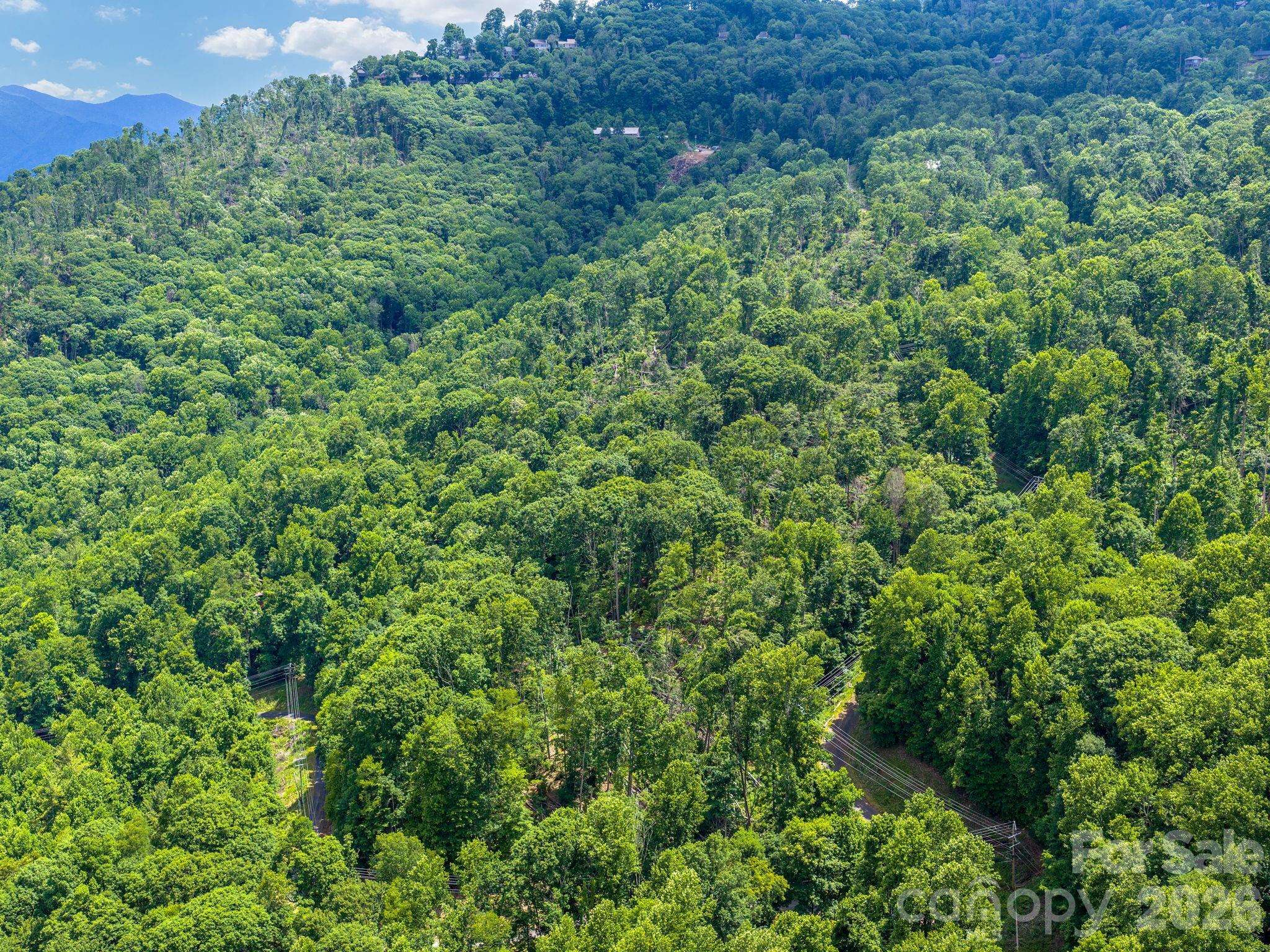 99999 Winterberry RD #11, Burnsville, NC 28714
