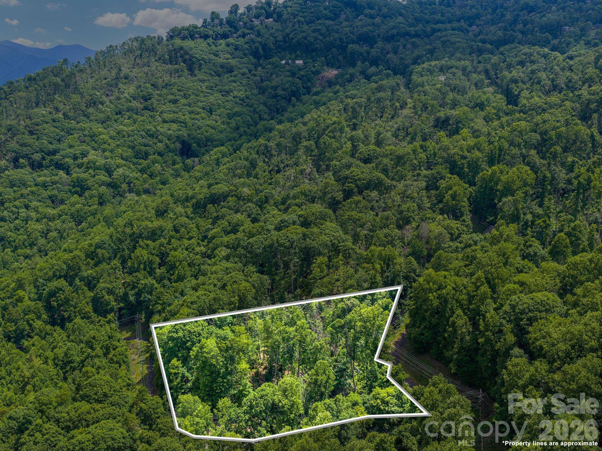 99999 Winterberry RD #11, Burnsville, NC 28714