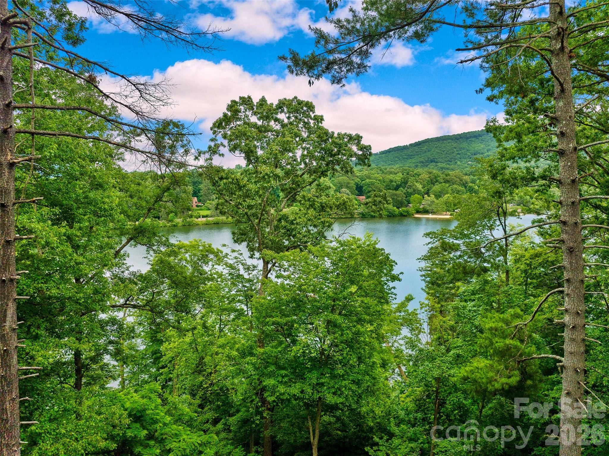 17 Hendrickson CT, Candler, NC 28715