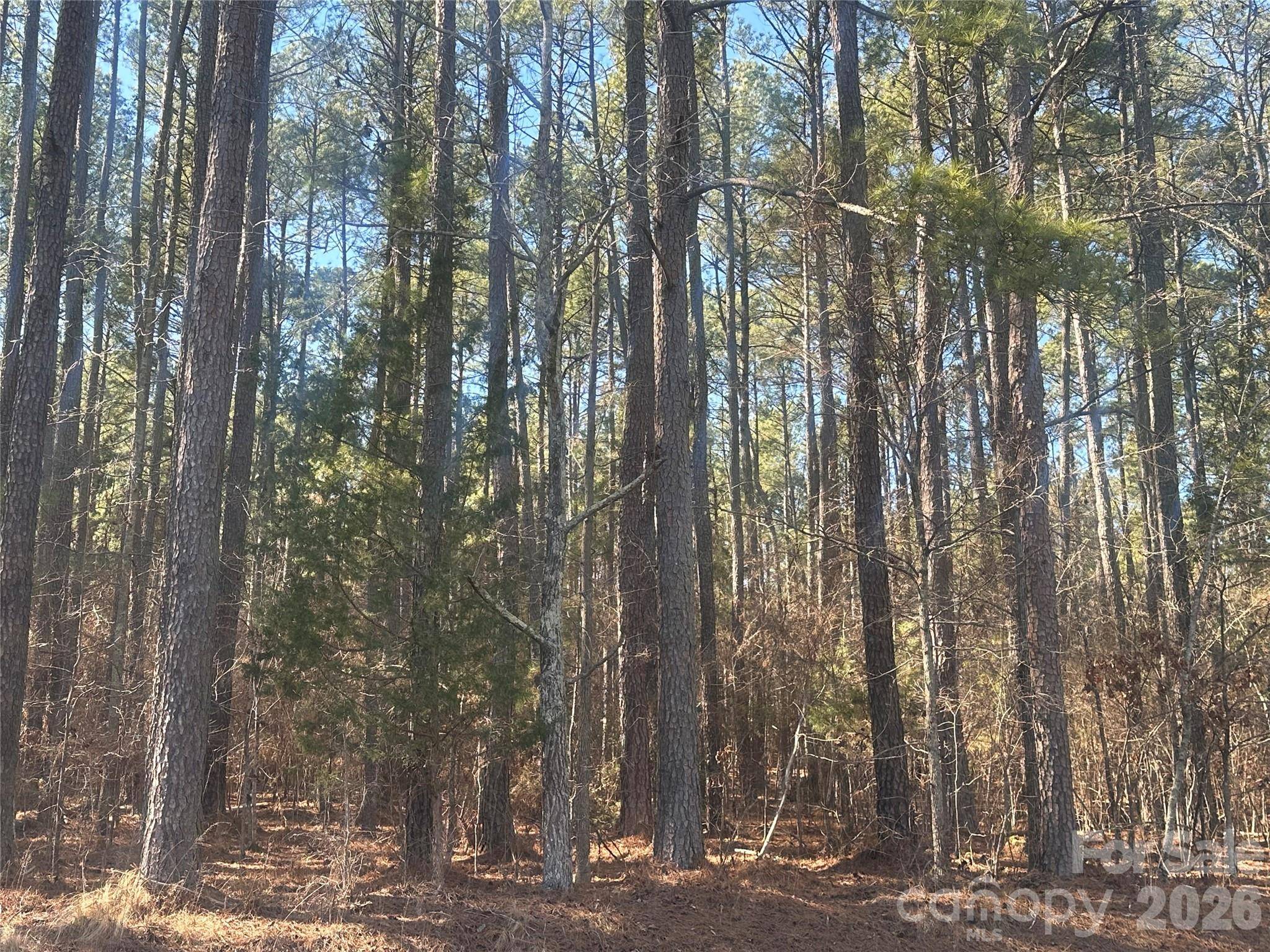 2410 Summerville Church RD, Denton, NC 27239