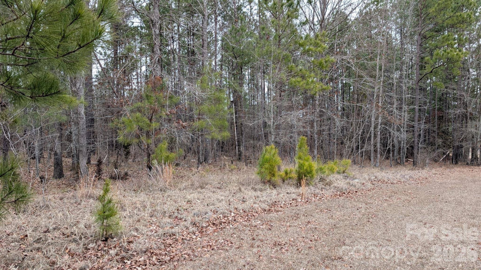 TBD Retreat WAY #3, Ridgeway, SC 29130
