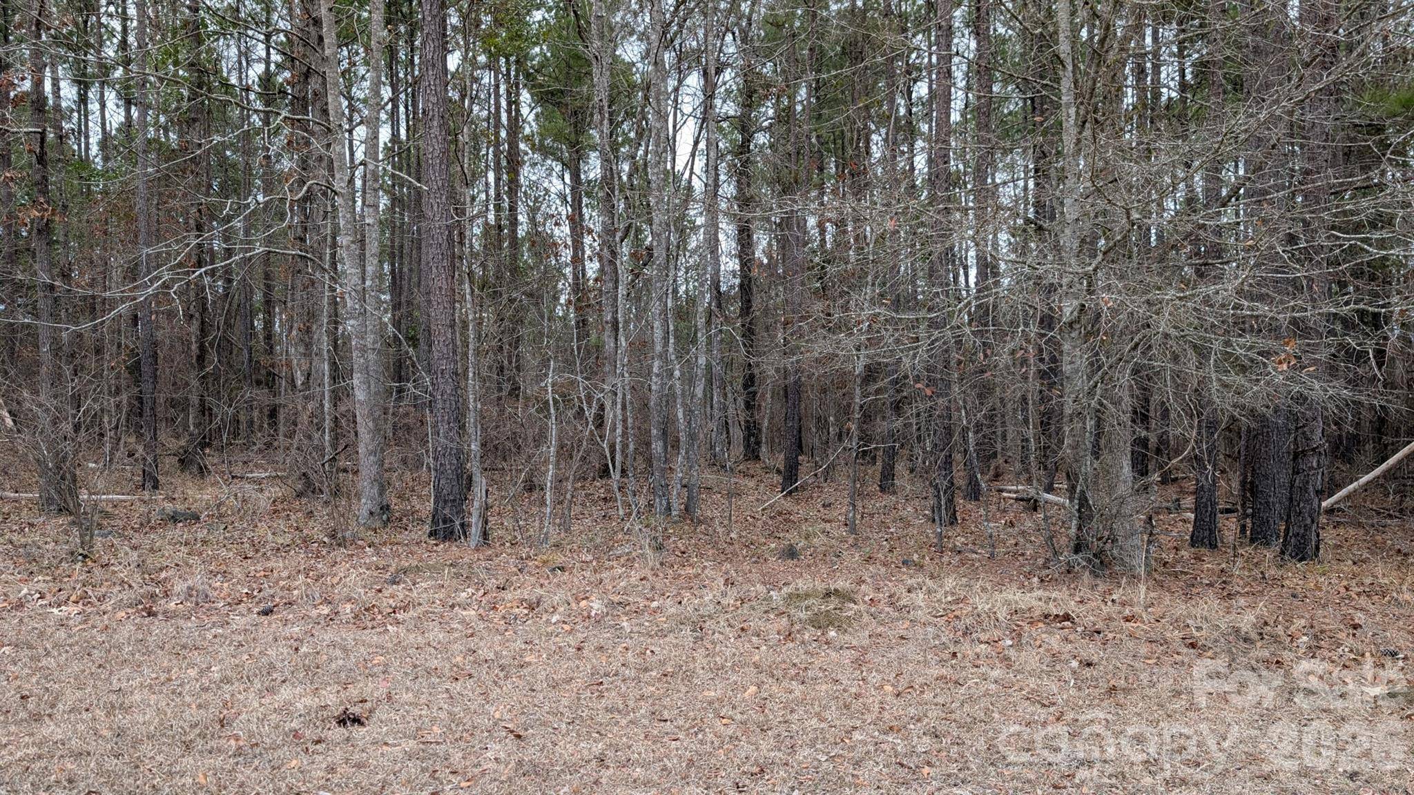 TBD Retreat WAY #3, Ridgeway, SC 29130