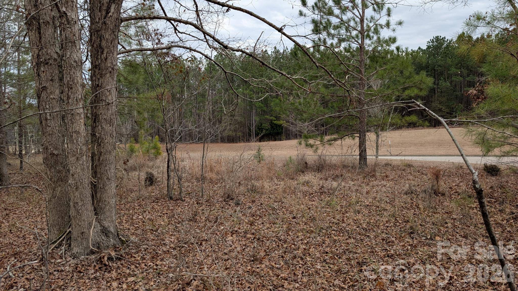 TBD Retreat WAY #3, Ridgeway, SC 29130