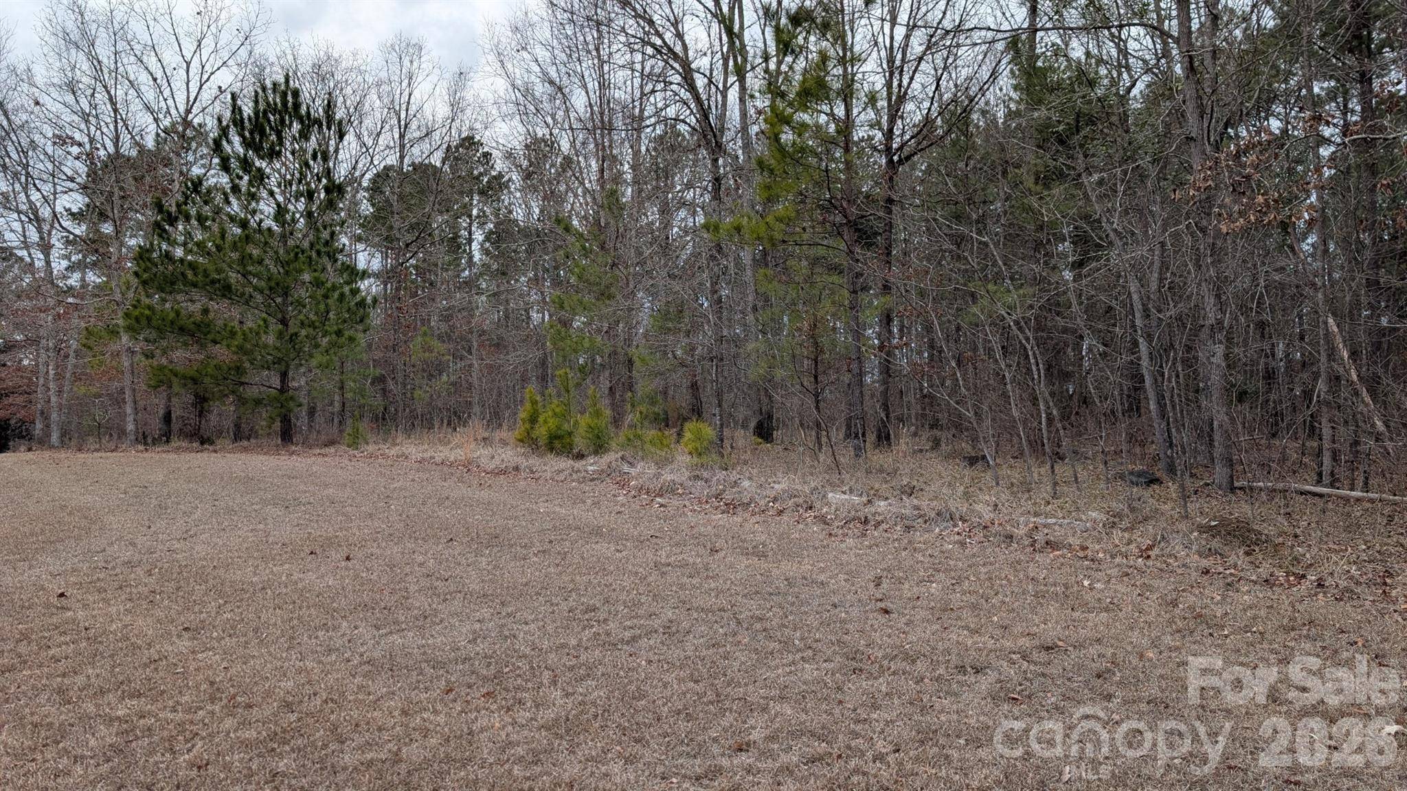 TBD Retreat WAY #3, Ridgeway, SC 29130